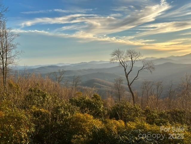 1260 Mountain Laurel Parkway Newland NC 28657