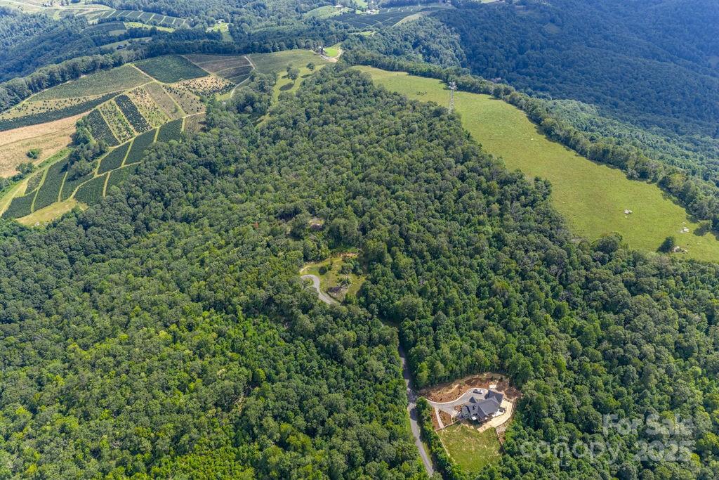 1260 Mountain Laurel Parkway Newland NC 28657