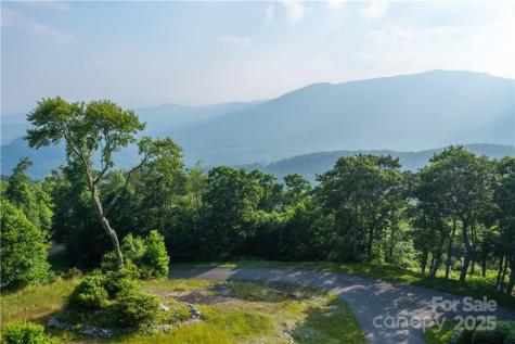 1260 Mountain Laurel Parkway Newland NC 28657