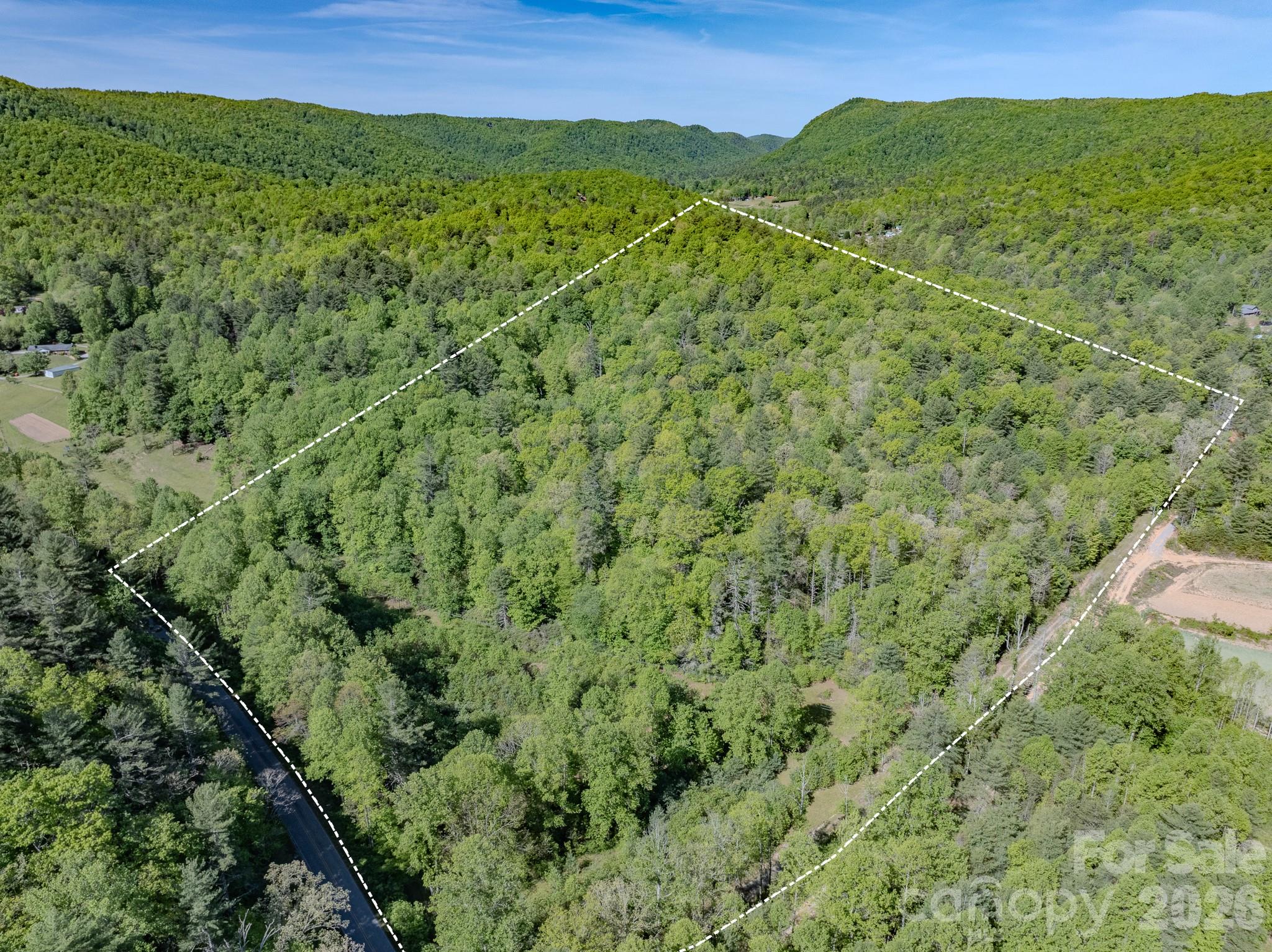 4111 Bobs Creek Road Zirconia NC 28790