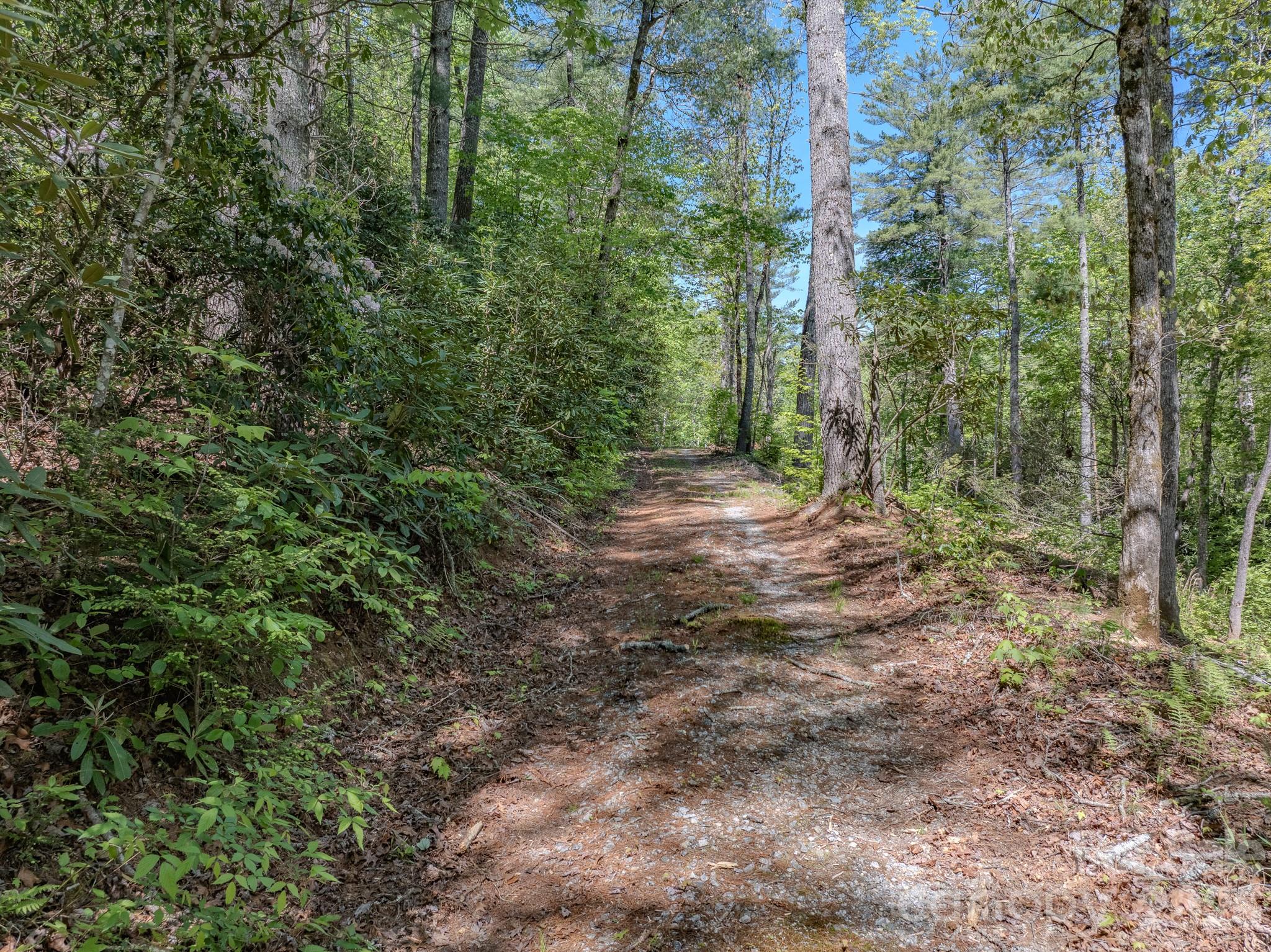 4111 Bobs Creek Road Zirconia NC 28790