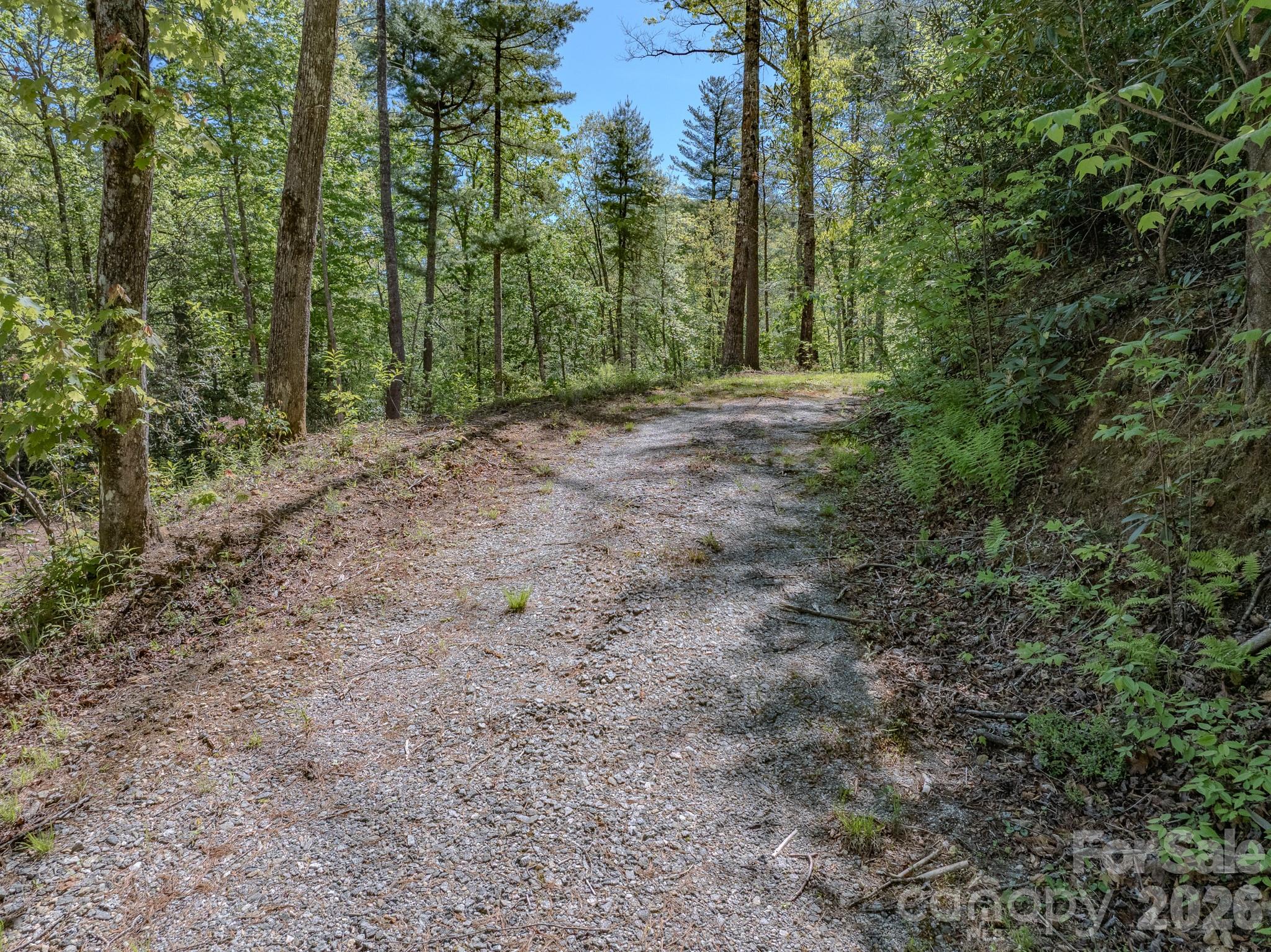 4111 Bobs Creek Road Zirconia NC 28790