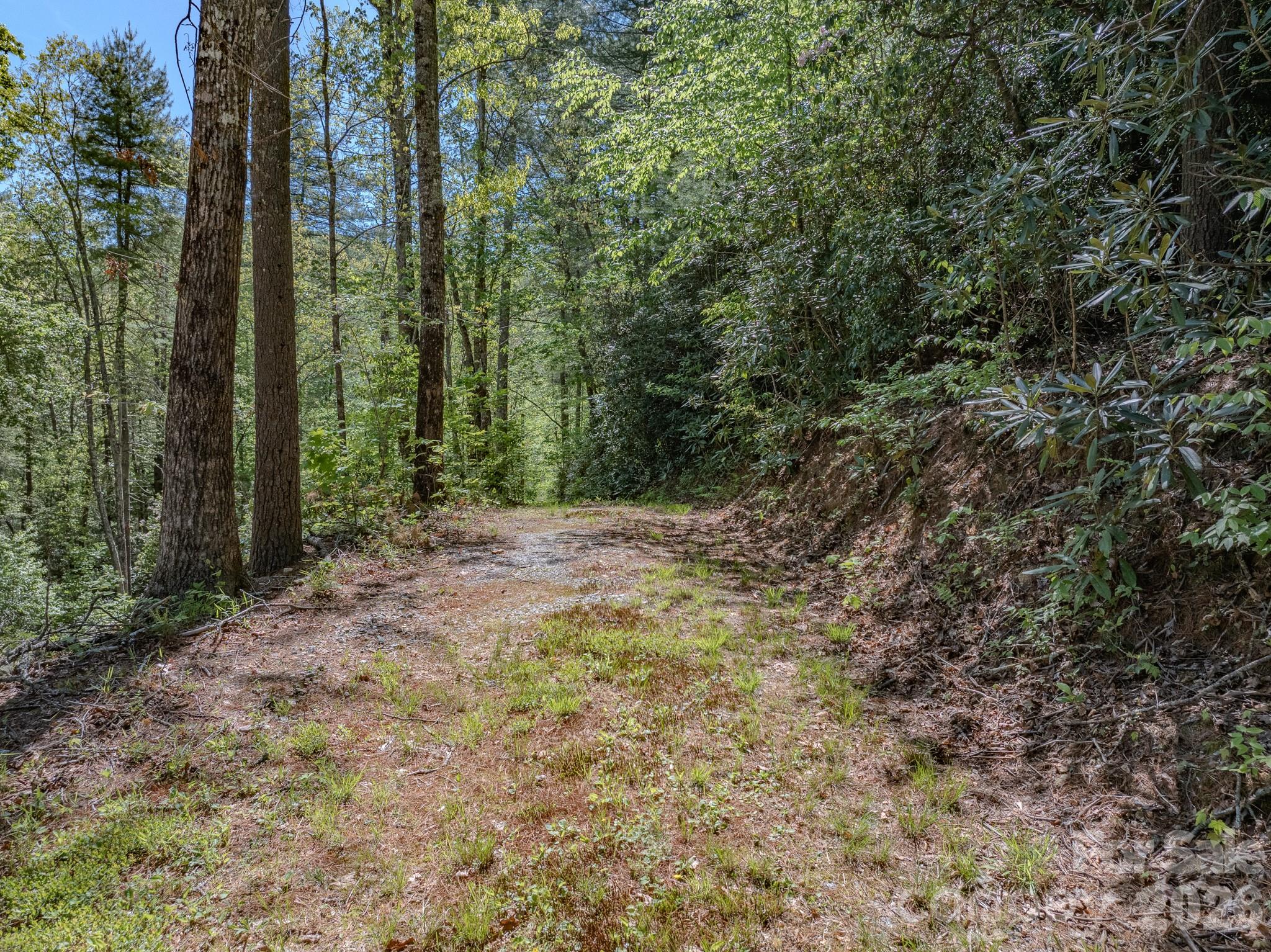 4111 Bobs Creek Road Zirconia NC 28790