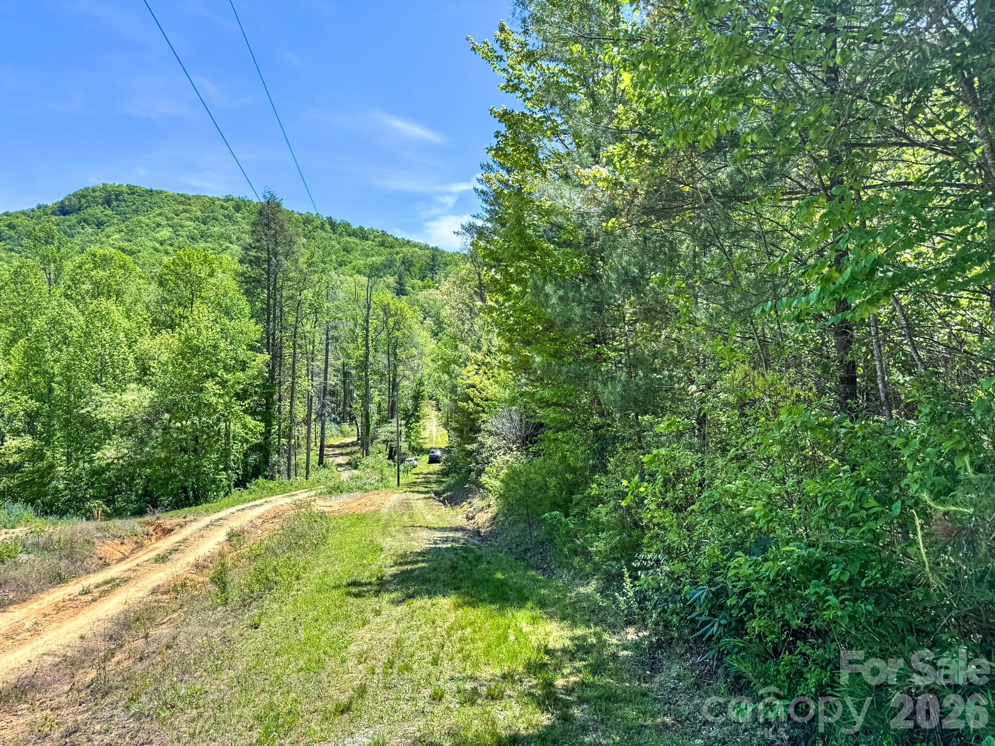 4111 Bobs Creek Road Zirconia NC 28790