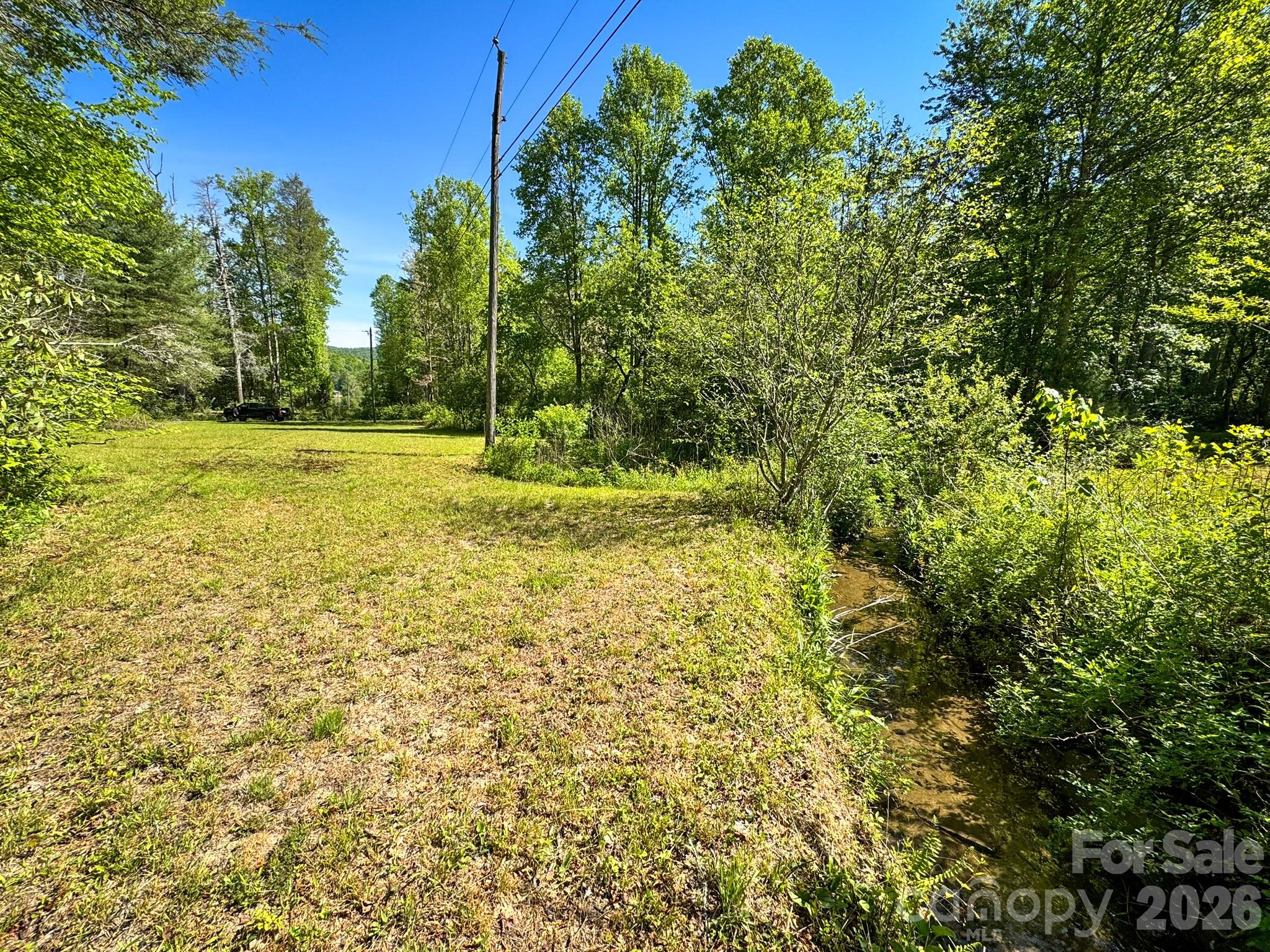 4111 Bobs Creek Road Zirconia NC 28790