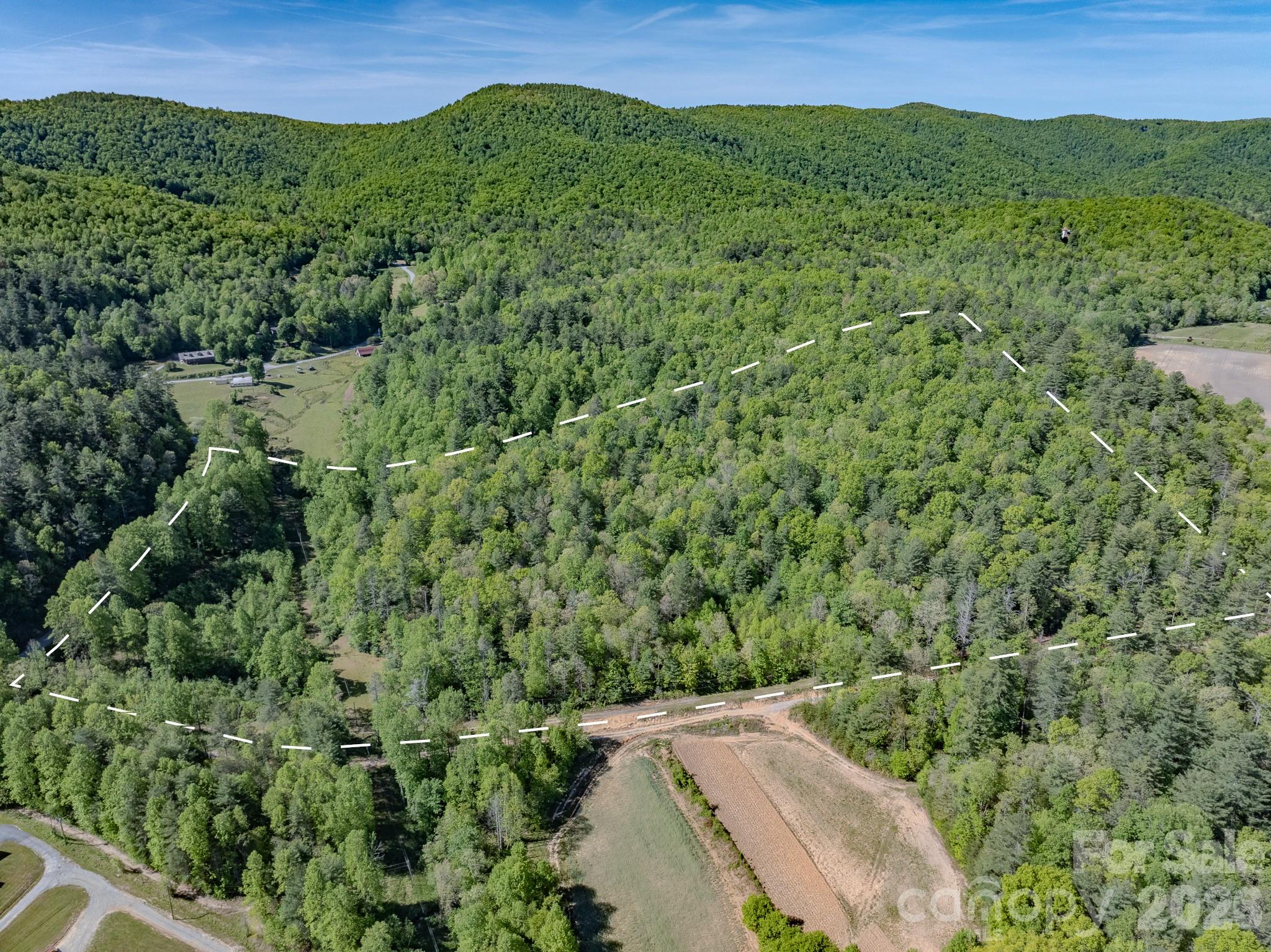4111 Bobs Creek Road Zirconia NC 28790
