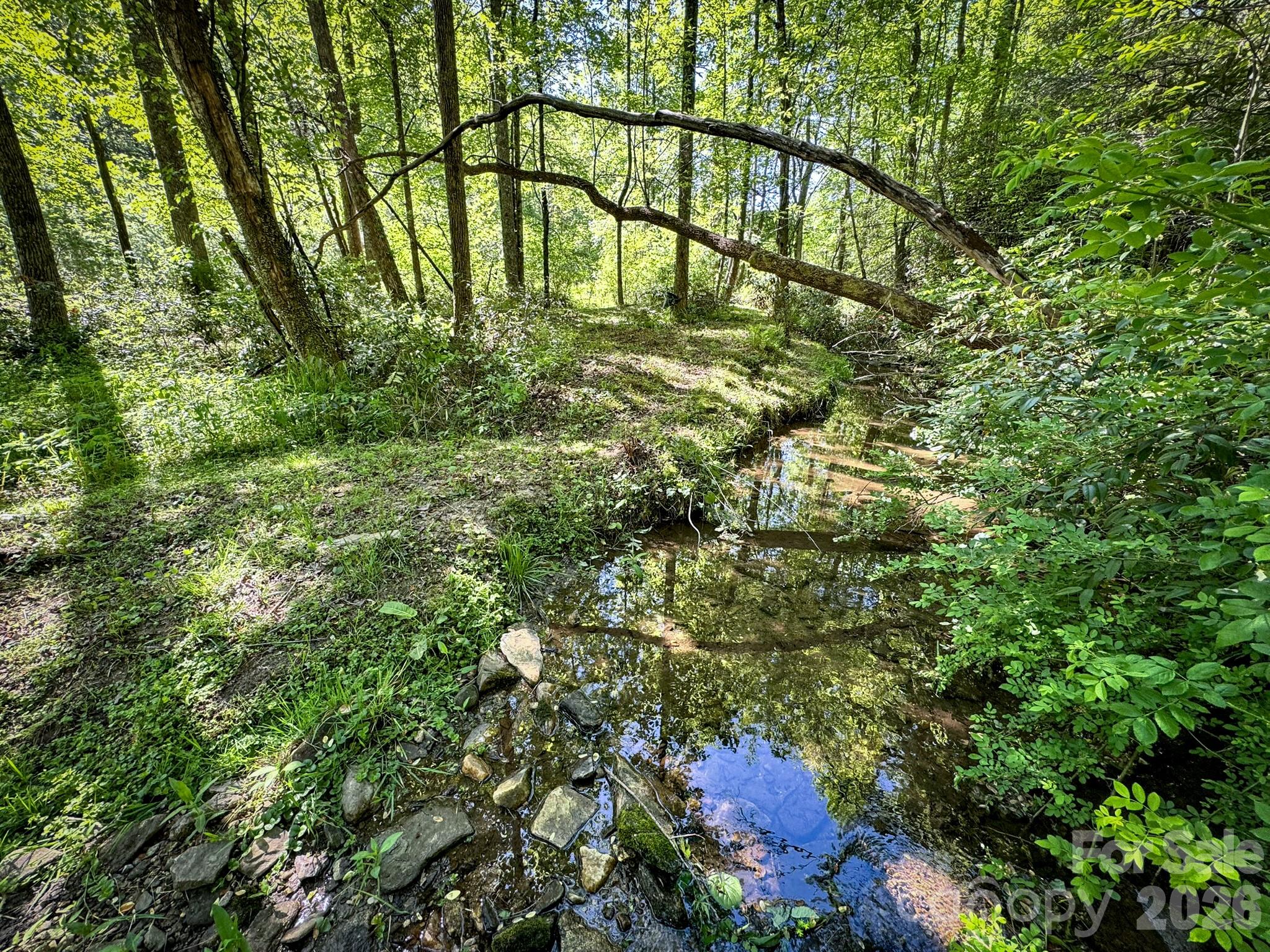 4111 Bobs Creek Road Zirconia NC 28790