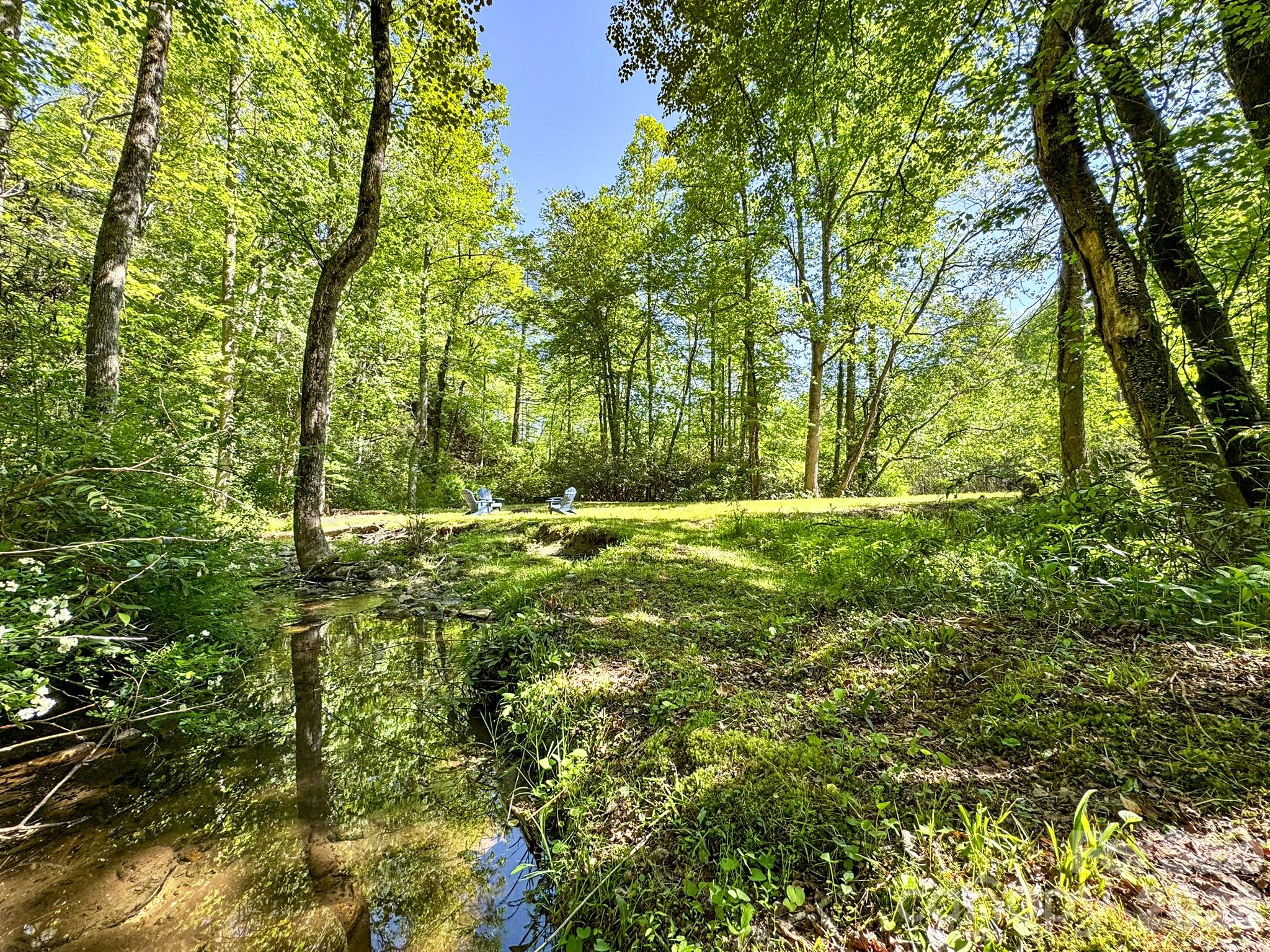 4111 Bobs Creek Road Zirconia NC 28790