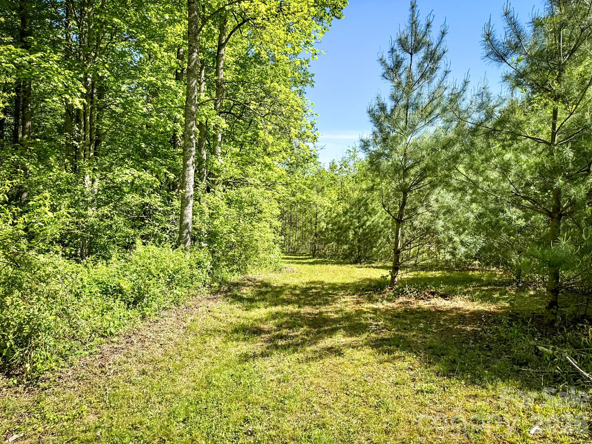 4111 Bobs Creek Road Zirconia NC 28790
