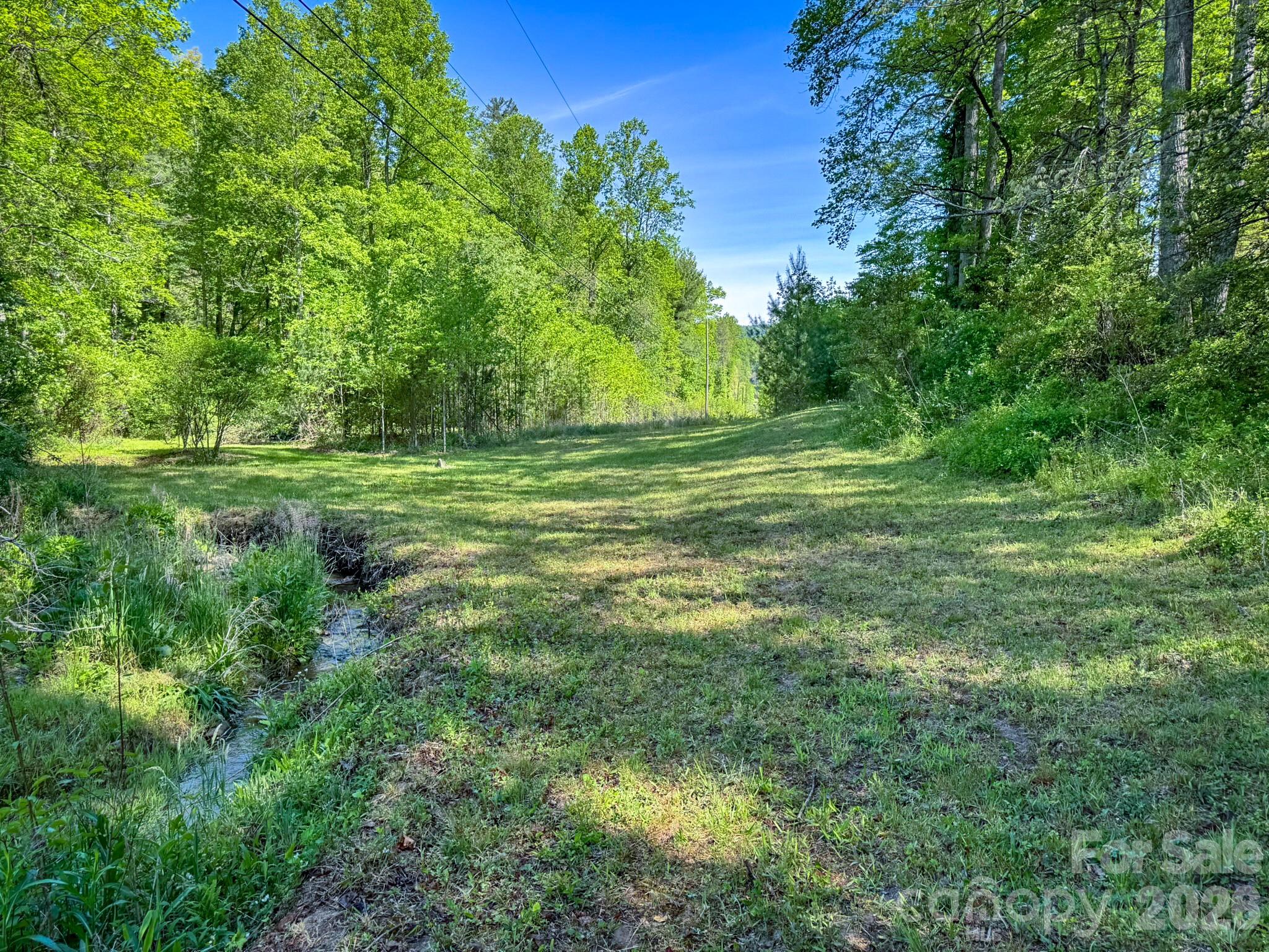 4111 Bobs Creek Road Zirconia NC 28790