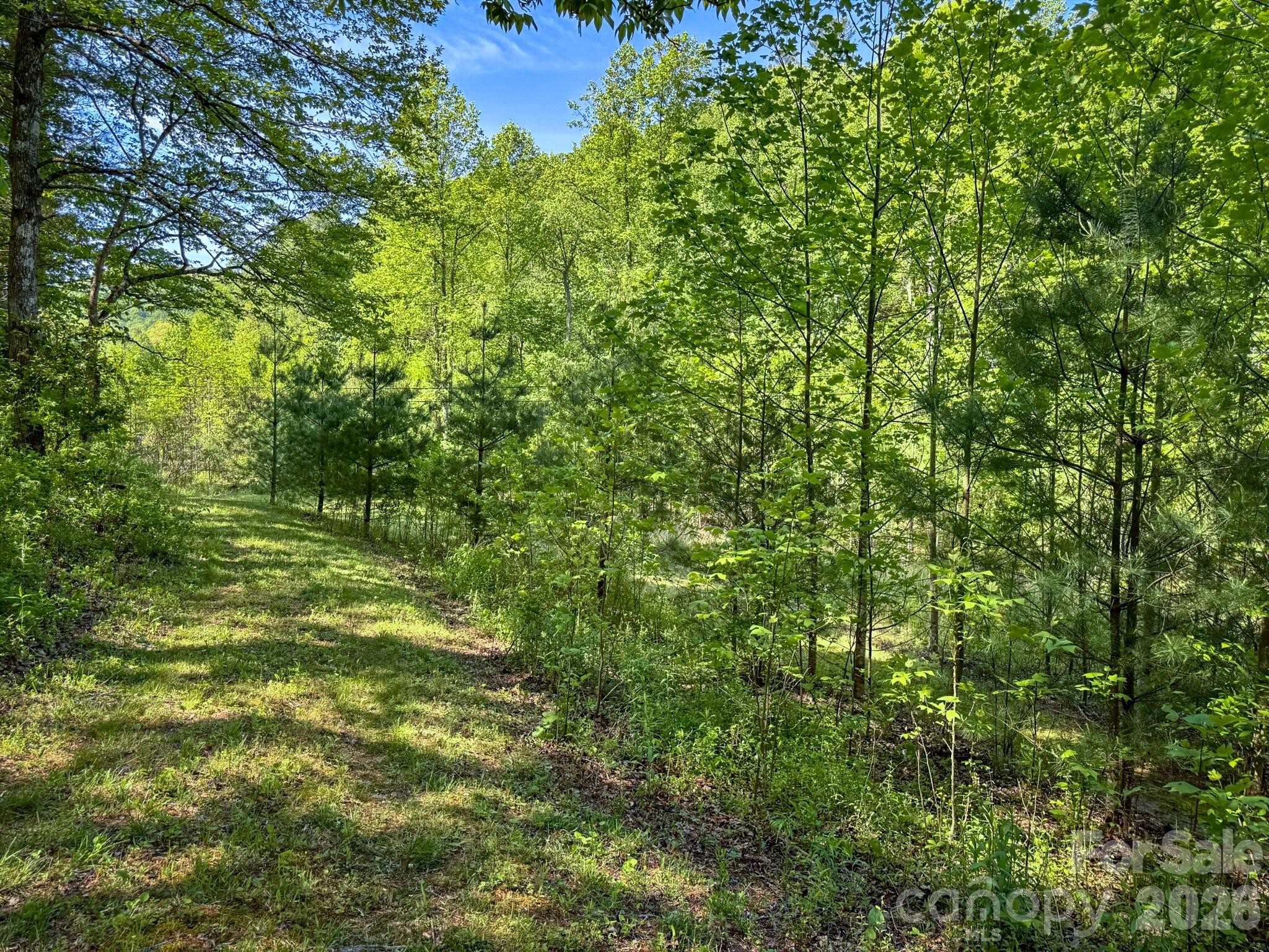 4111 Bobs Creek Road Zirconia NC 28790