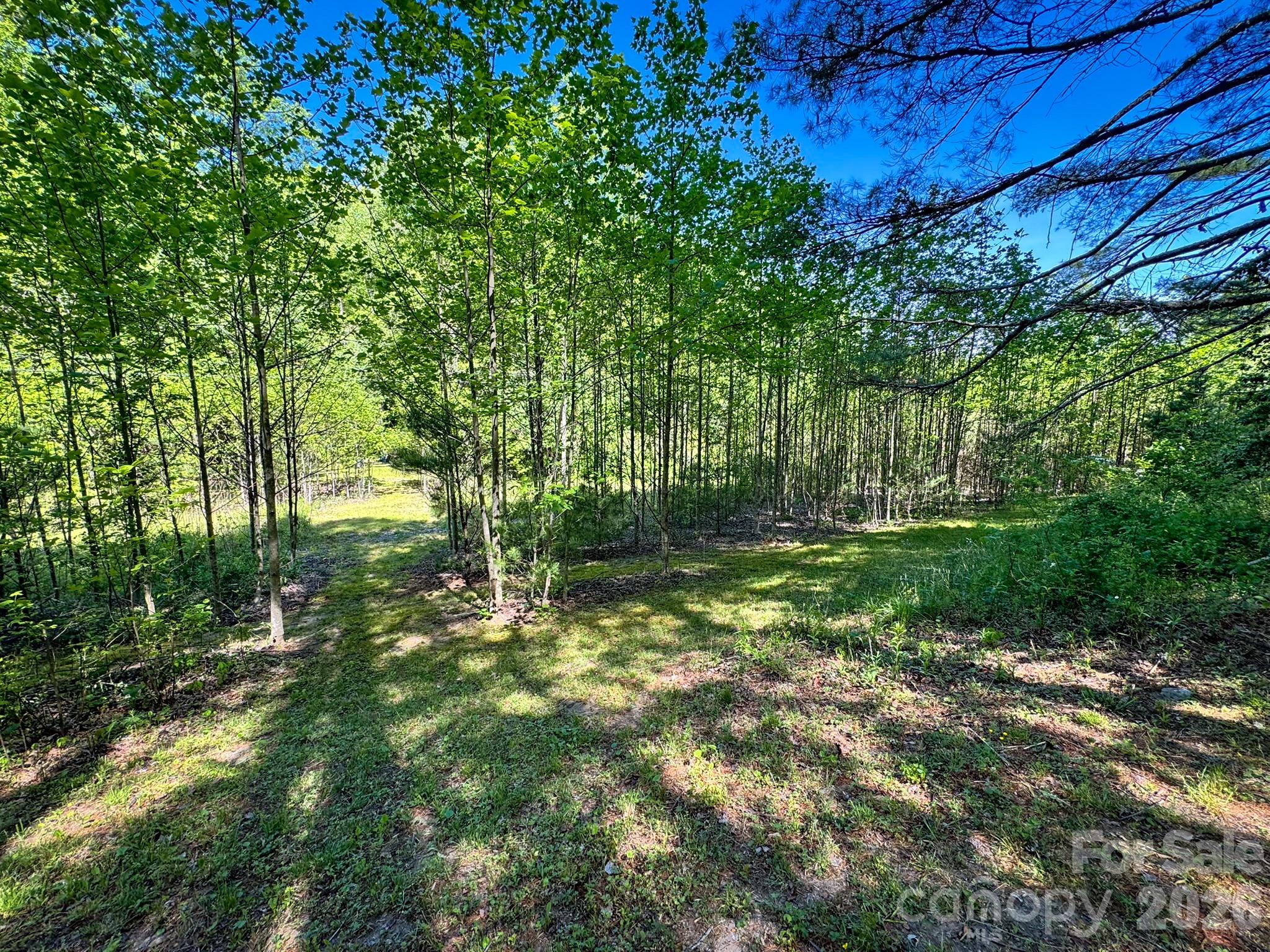 4111 Bobs Creek Road Zirconia NC 28790