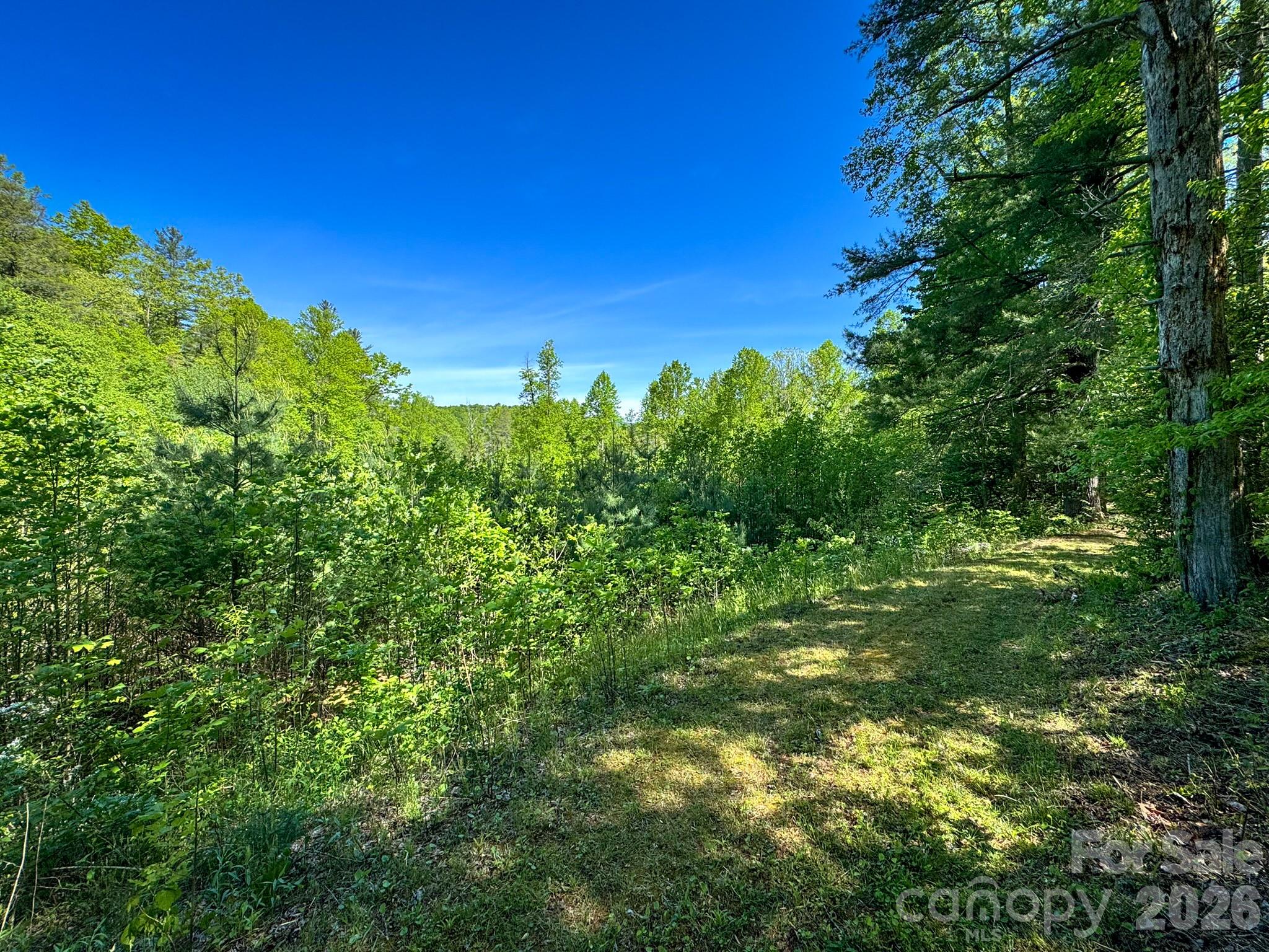 4111 Bobs Creek Road Zirconia NC 28790