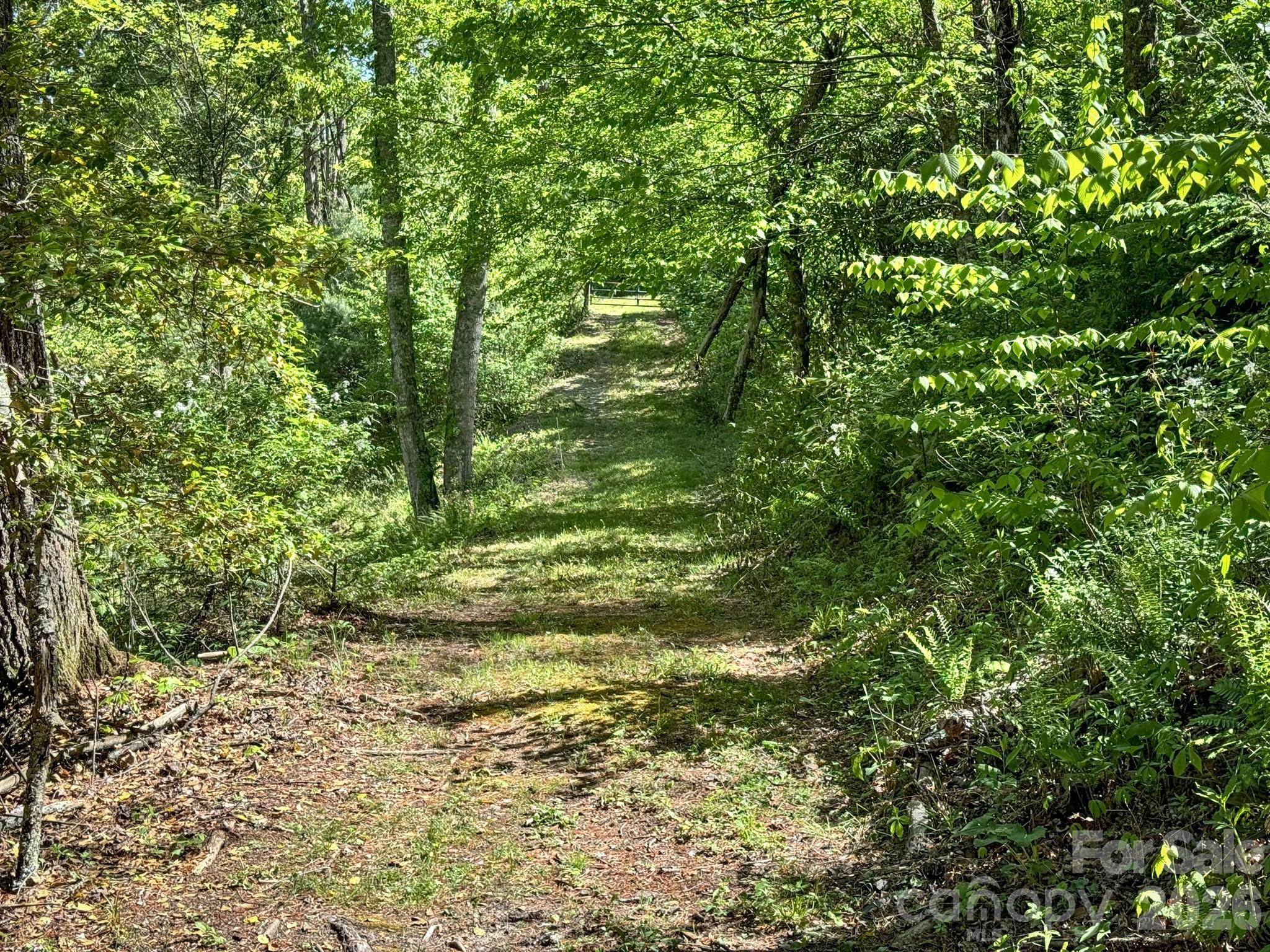 4111 Bobs Creek Road Zirconia NC 28790