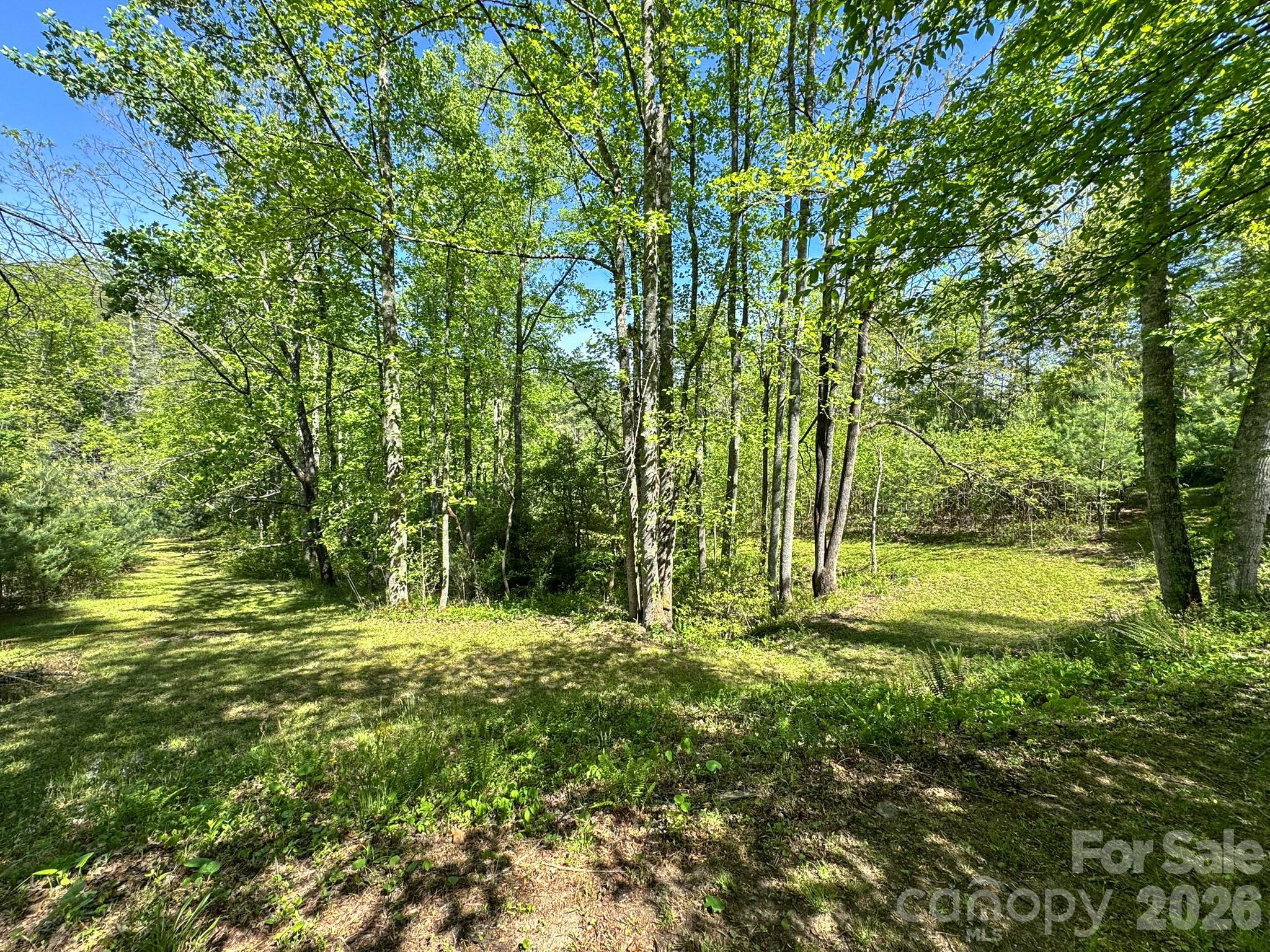 4111 Bobs Creek Road Zirconia NC 28790