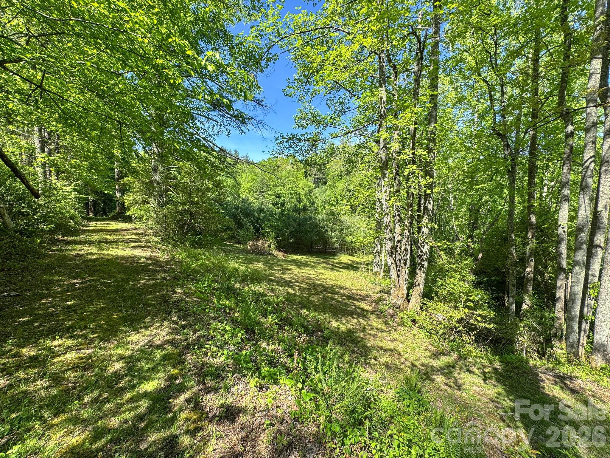 4111 Bobs Creek Road Zirconia NC 28790