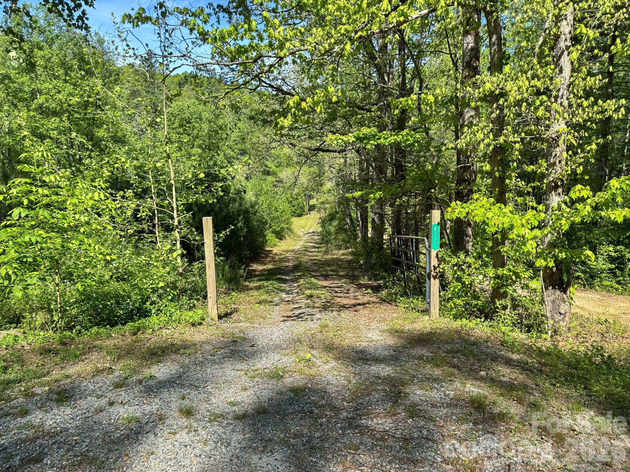 4111 Bobs Creek Road Zirconia NC 28790