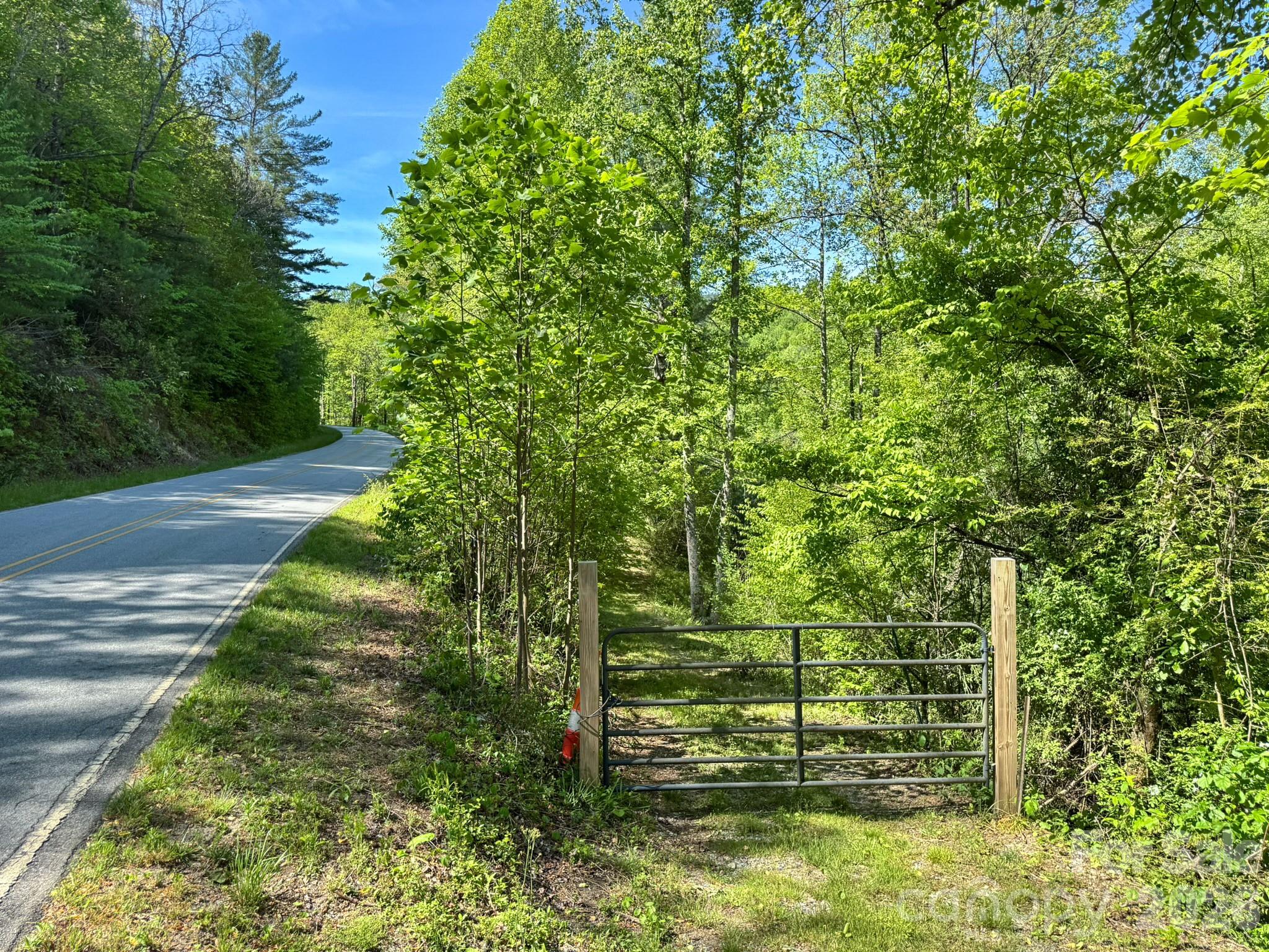 4111 Bobs Creek Road Zirconia NC 28790