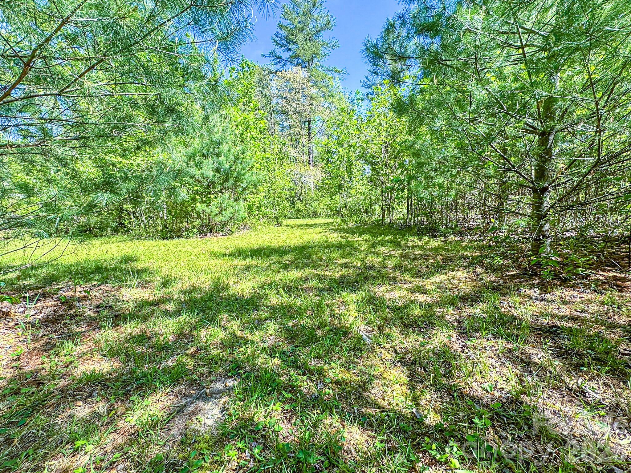 4111 Bobs Creek Road Zirconia NC 28790