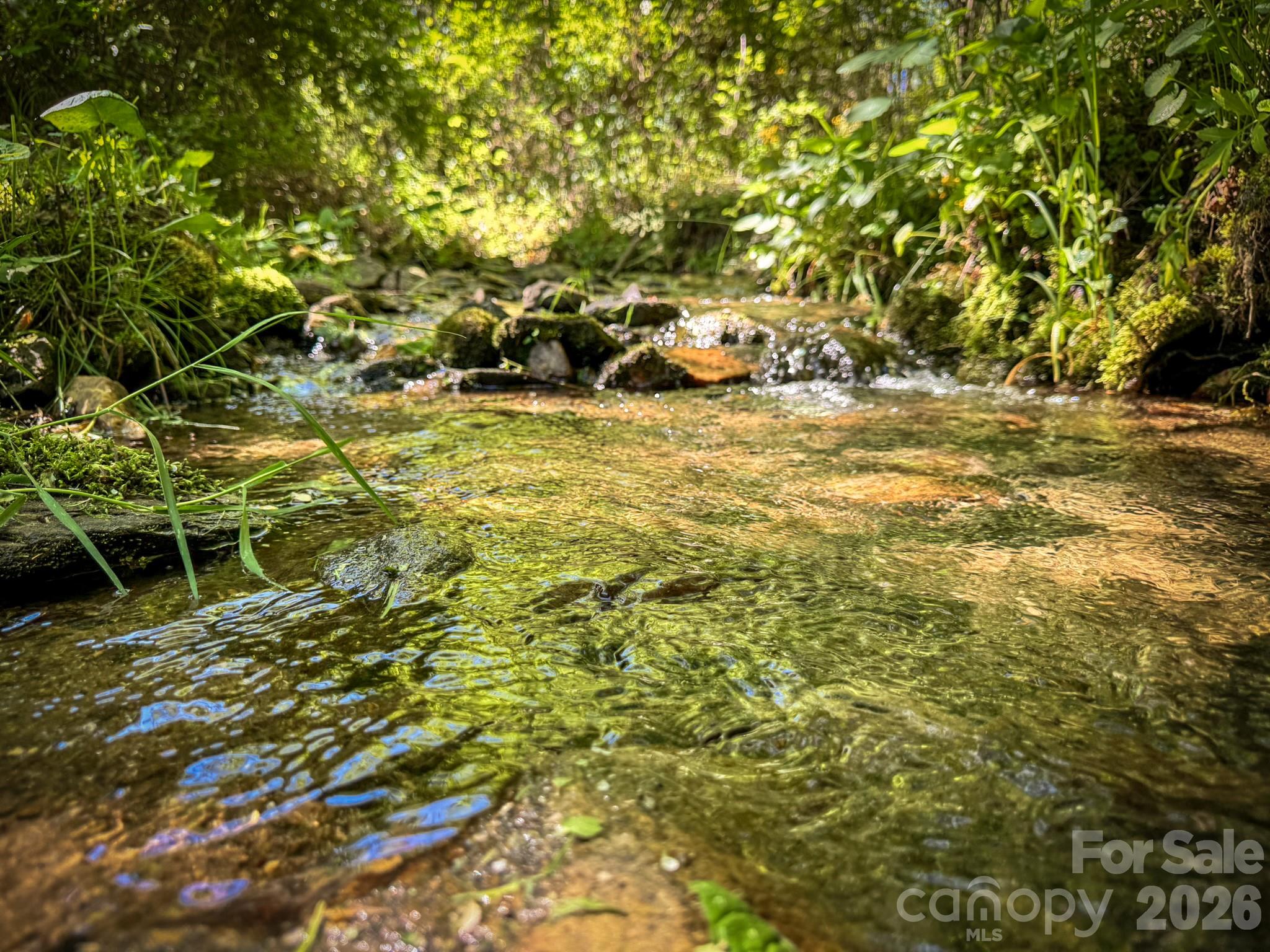 4111 Bobs Creek Road Zirconia NC 28790