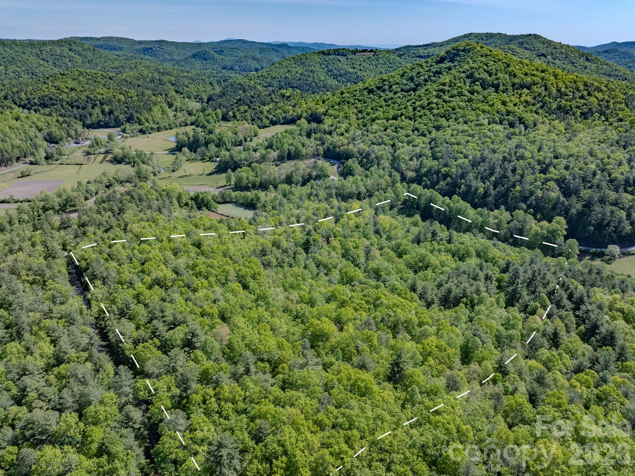 4111 Bobs Creek Road Zirconia NC 28790