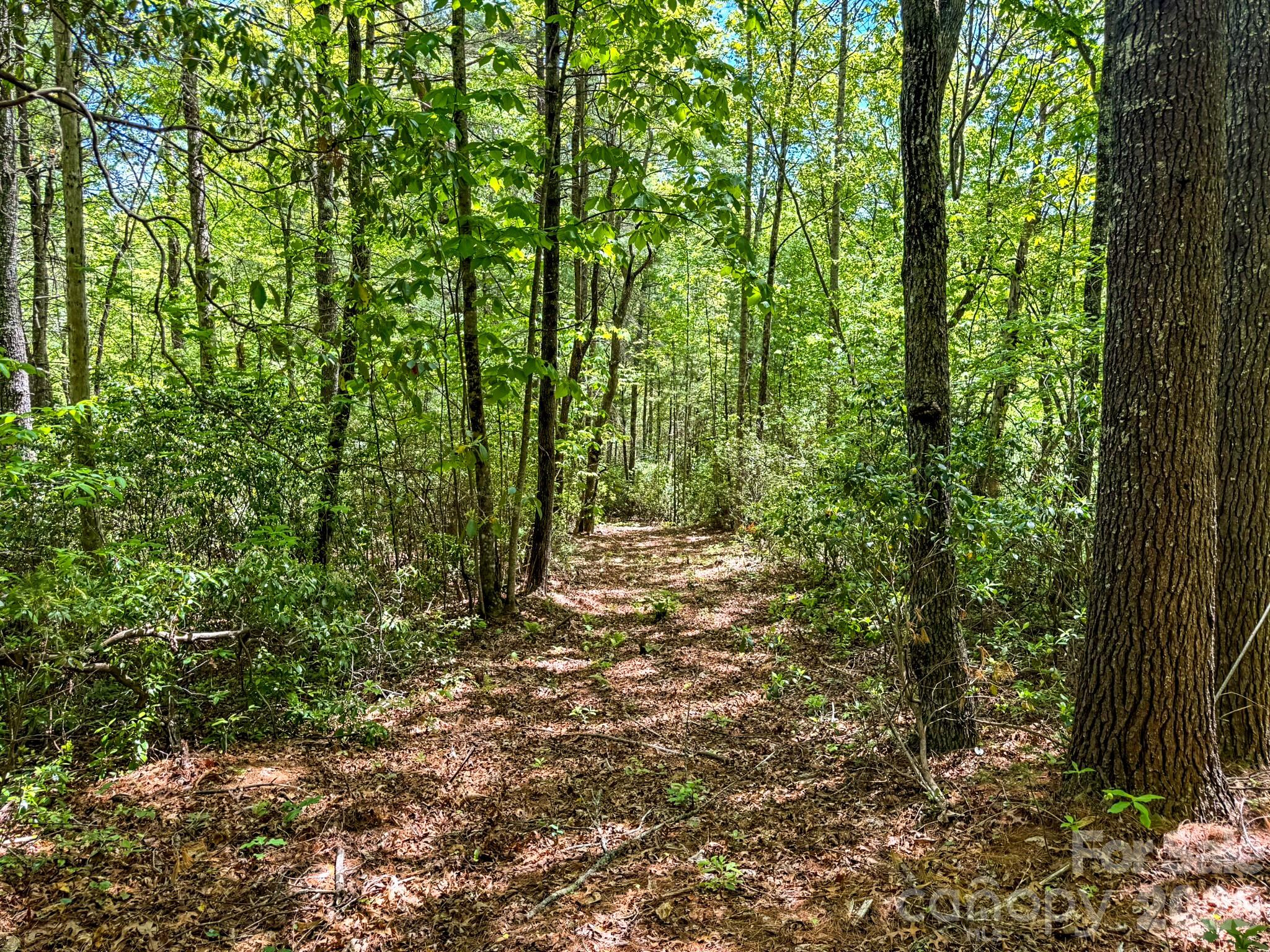4111 Bobs Creek Road Zirconia NC 28790