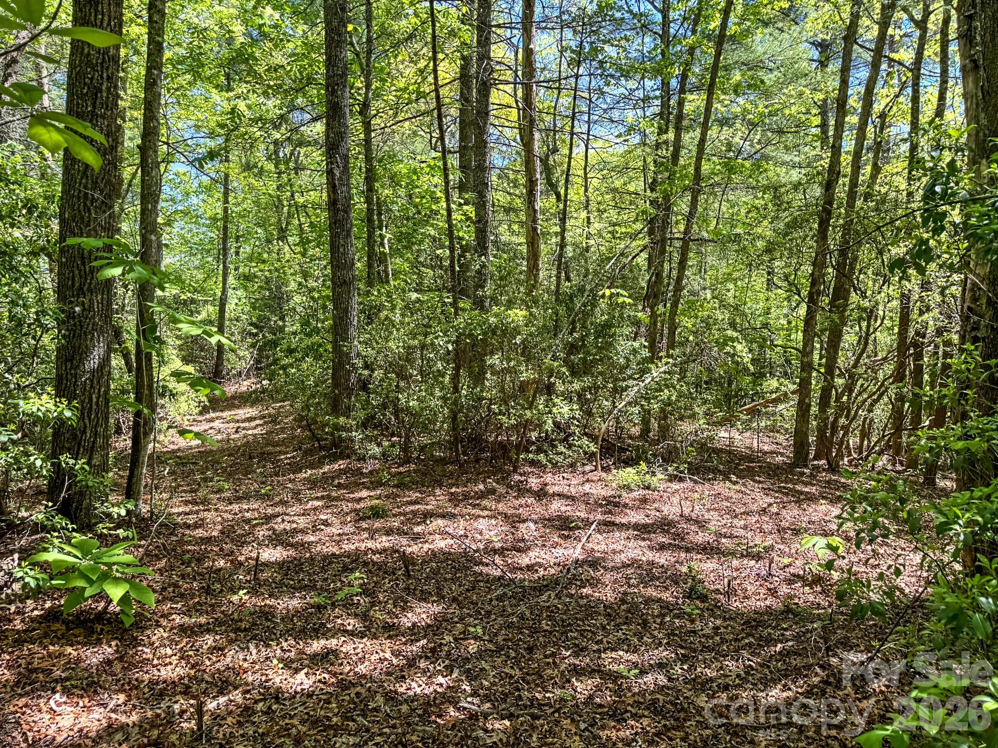 4111 Bobs Creek Road Zirconia NC 28790