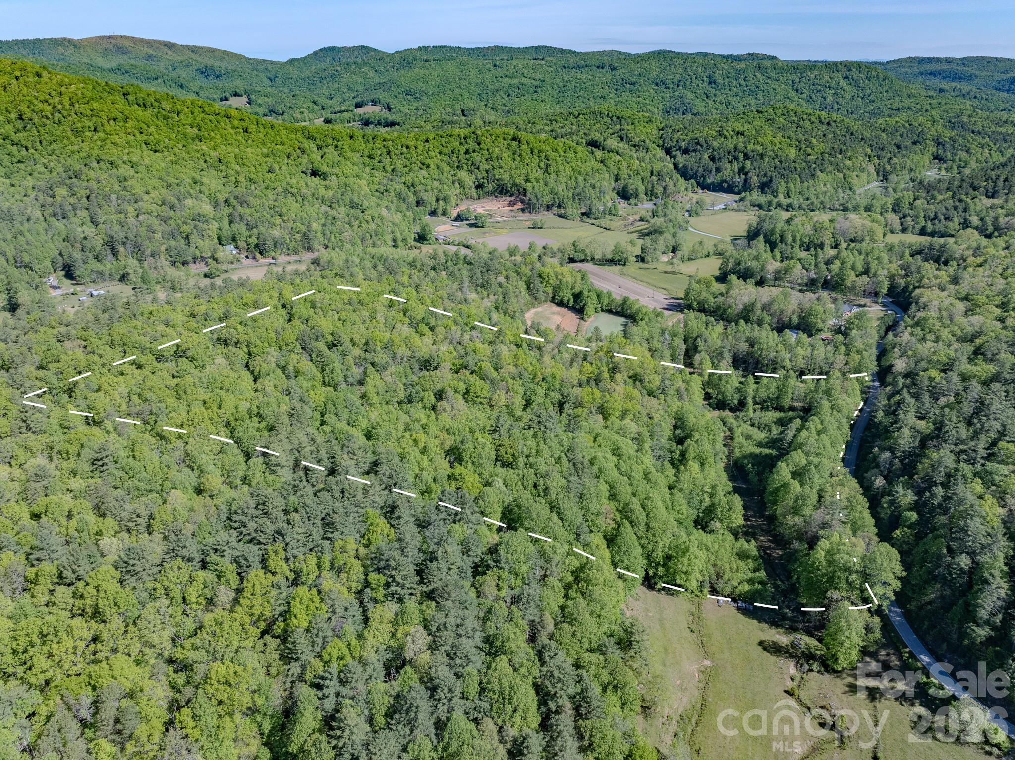 4111 Bobs Creek Road Zirconia NC 28790