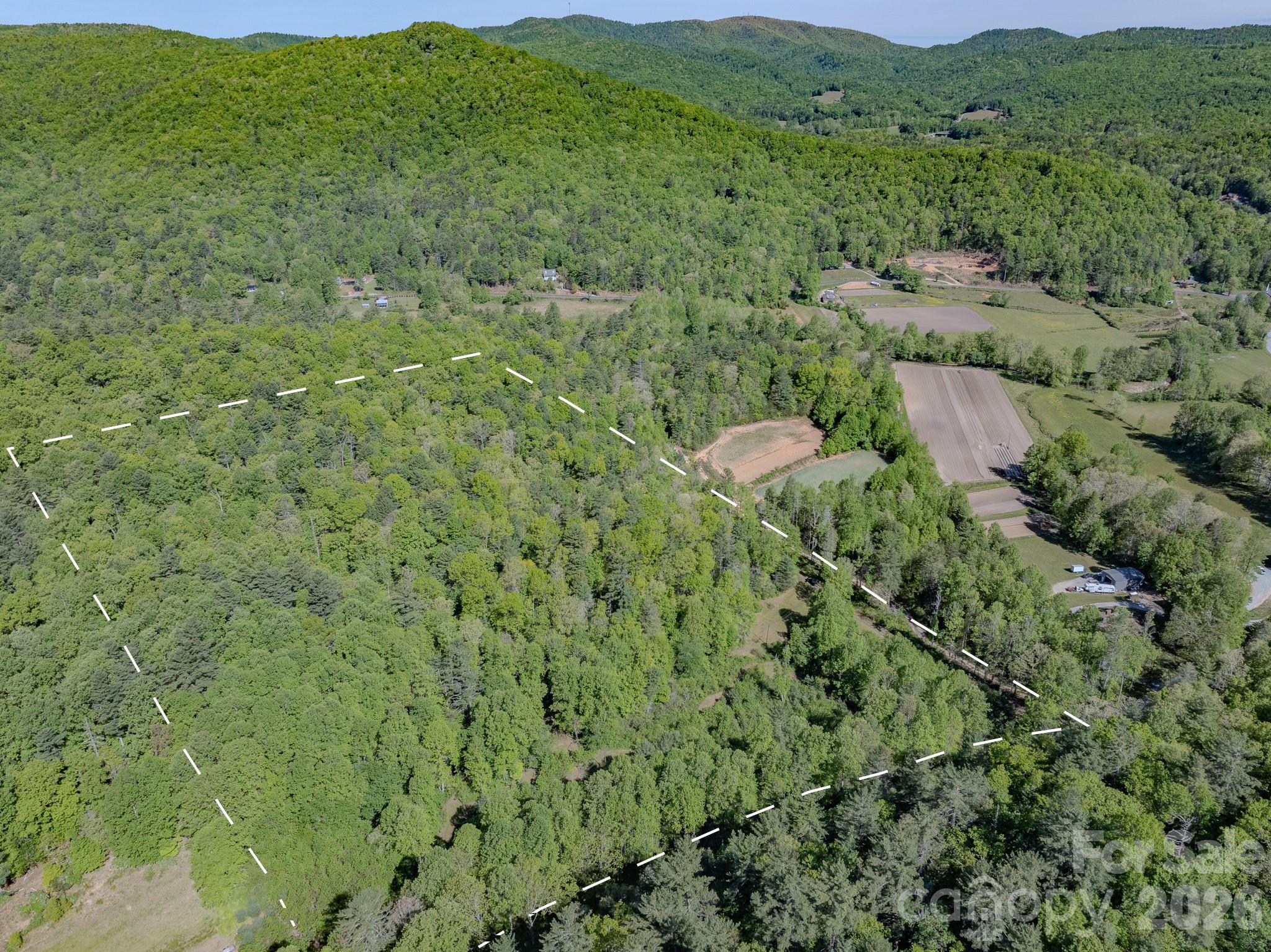4111 Bobs Creek Road Zirconia NC 28790