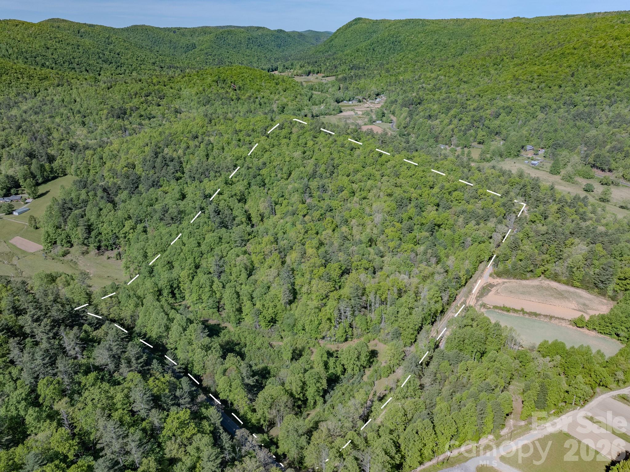 4111 Bobs Creek Road Zirconia NC 28790