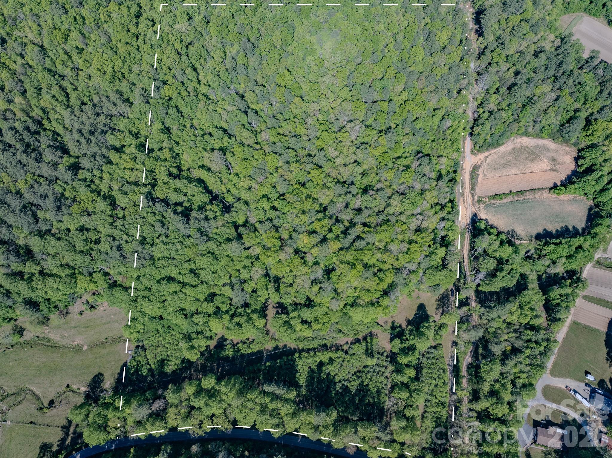 4111 Bobs Creek Road Zirconia NC 28790