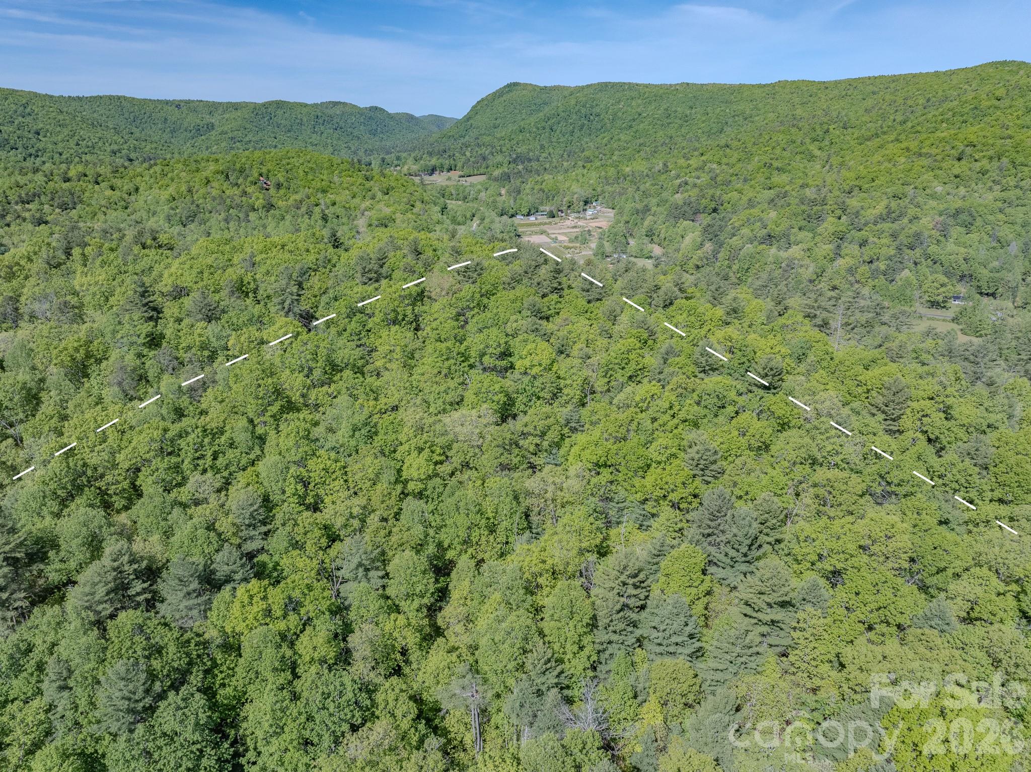 4111 Bobs Creek Road Zirconia NC 28790