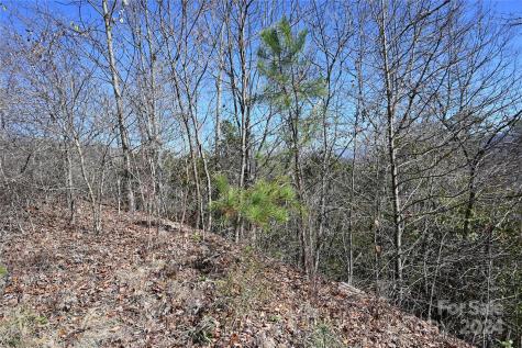 00 Longview Ridge Sylva NC 28779