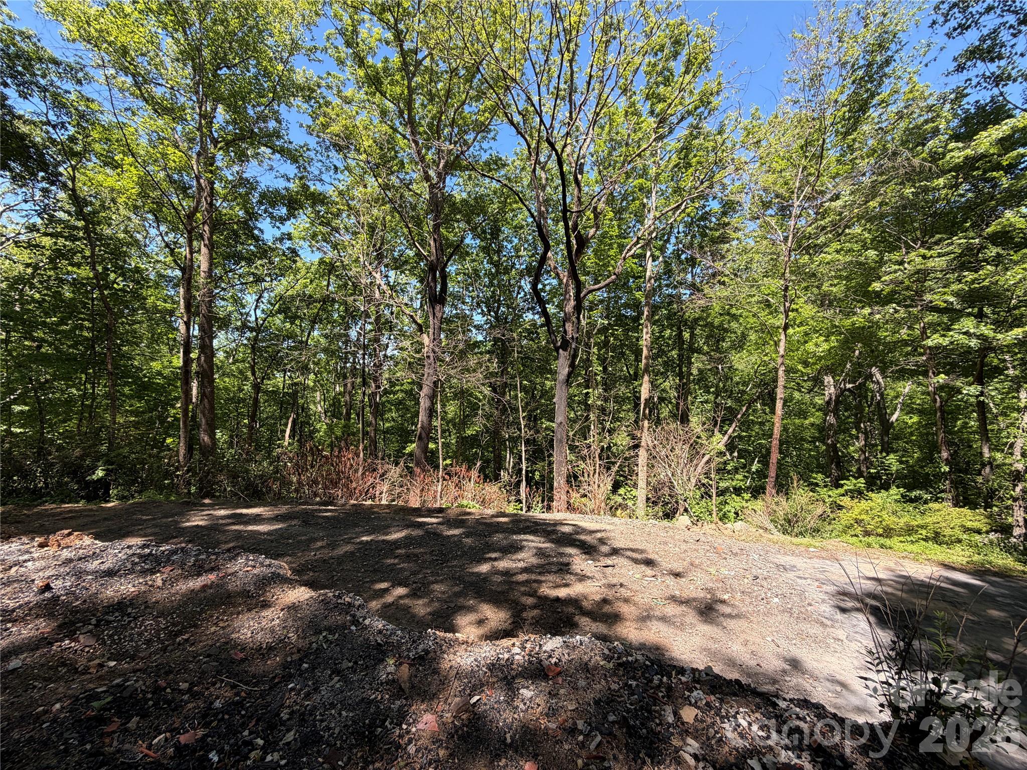 25 Buck Ridge Road Fairview NC 28730