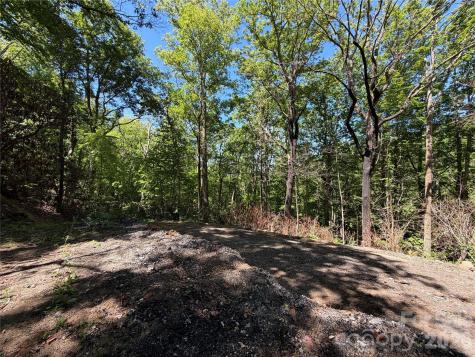 25 Buck Ridge Road Fairview NC 28730