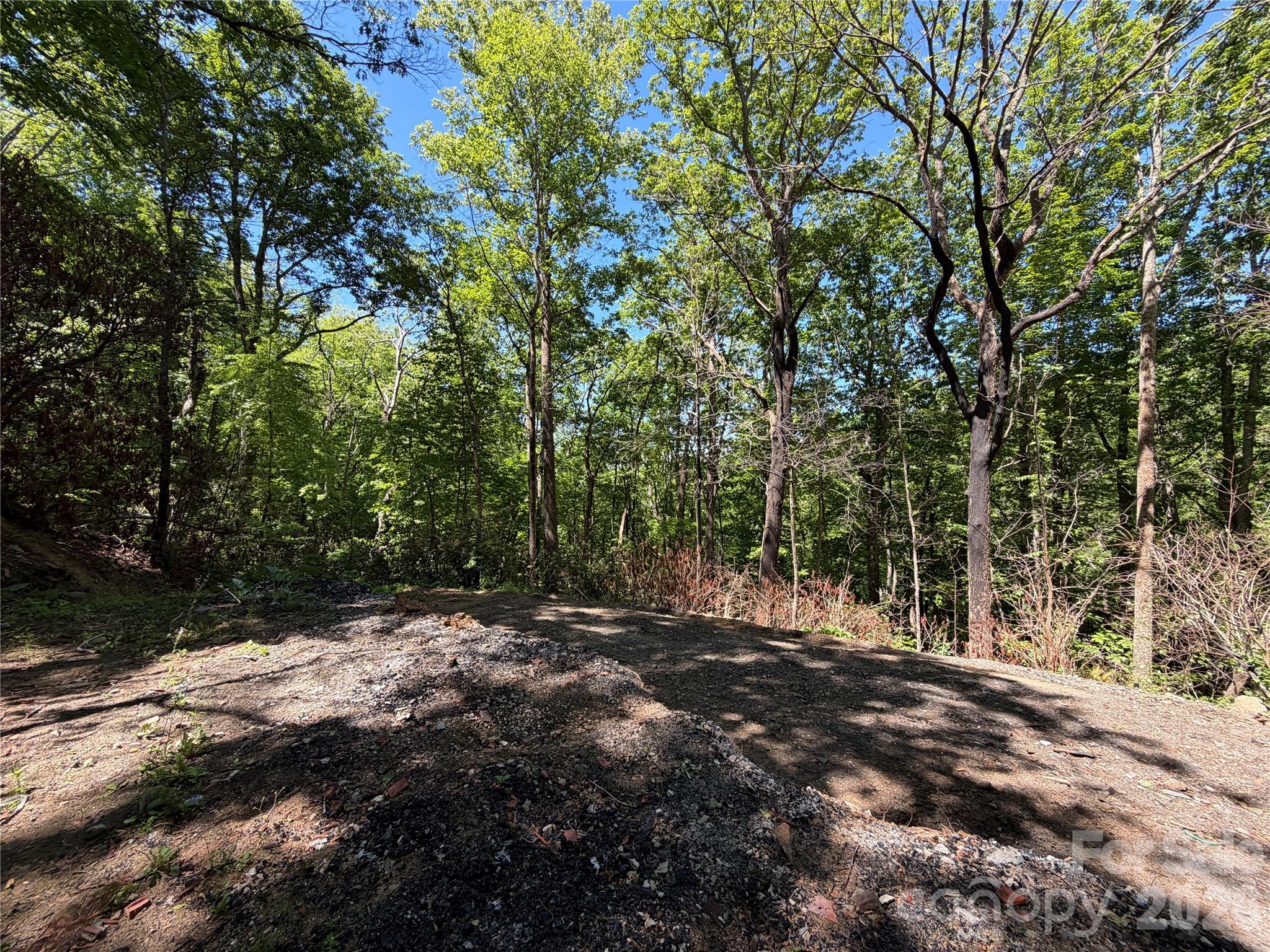 25 Buck Ridge Road Fairview NC 28730