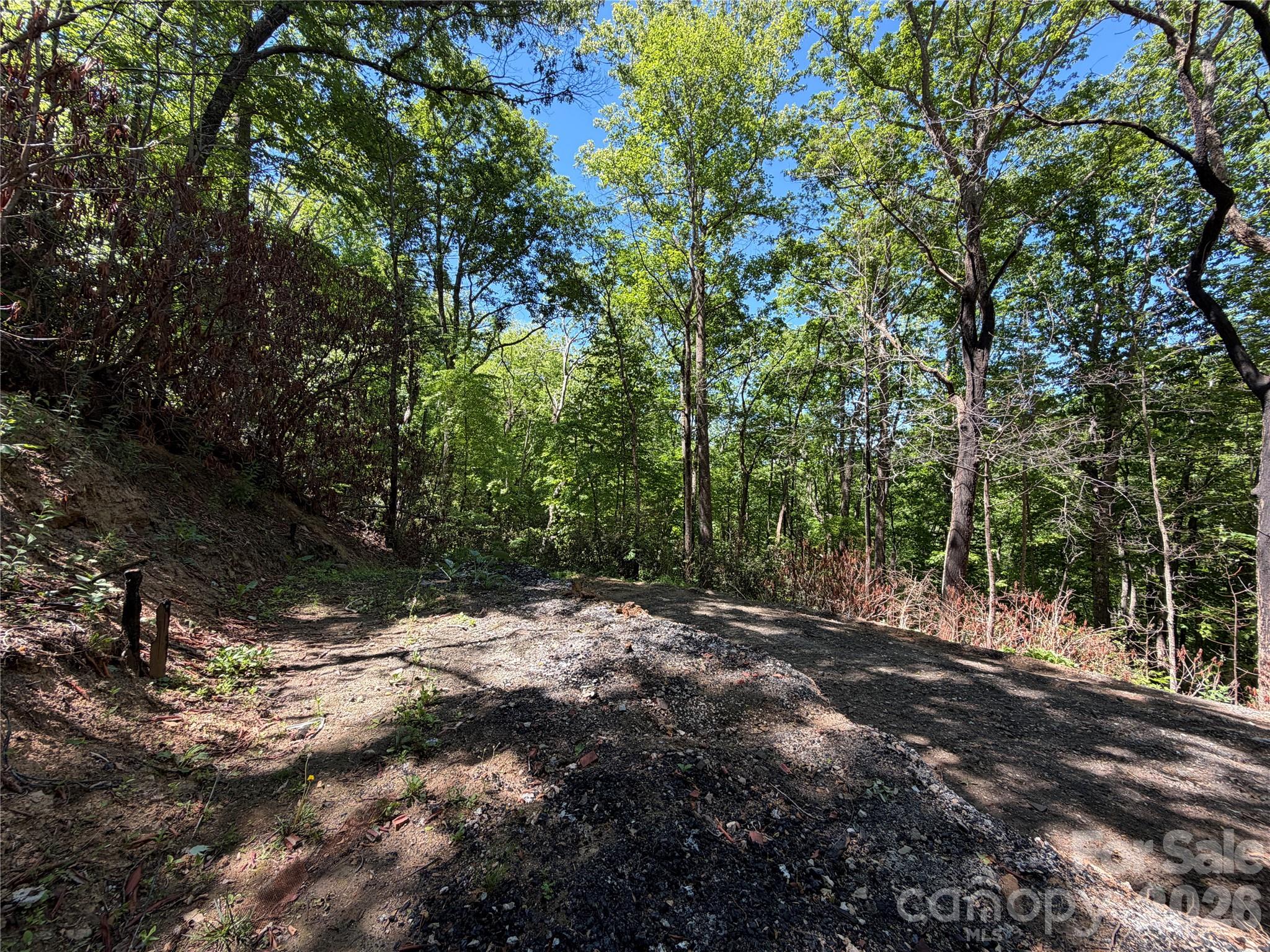 25 Buck Ridge Road Fairview NC 28730