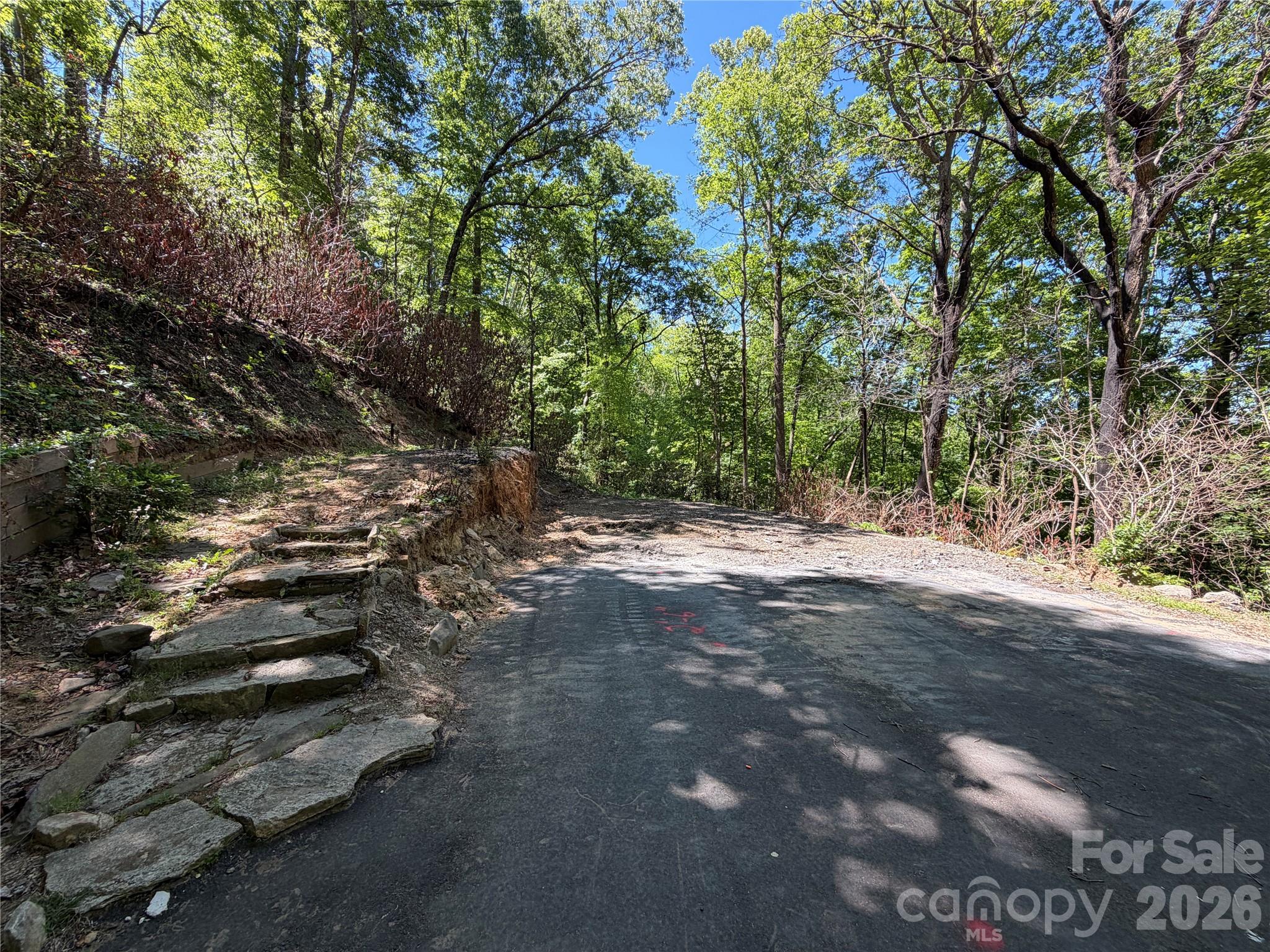 25 Buck Ridge Road Fairview NC 28730