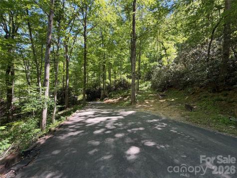 25 Buck Ridge Road Fairview NC 28730