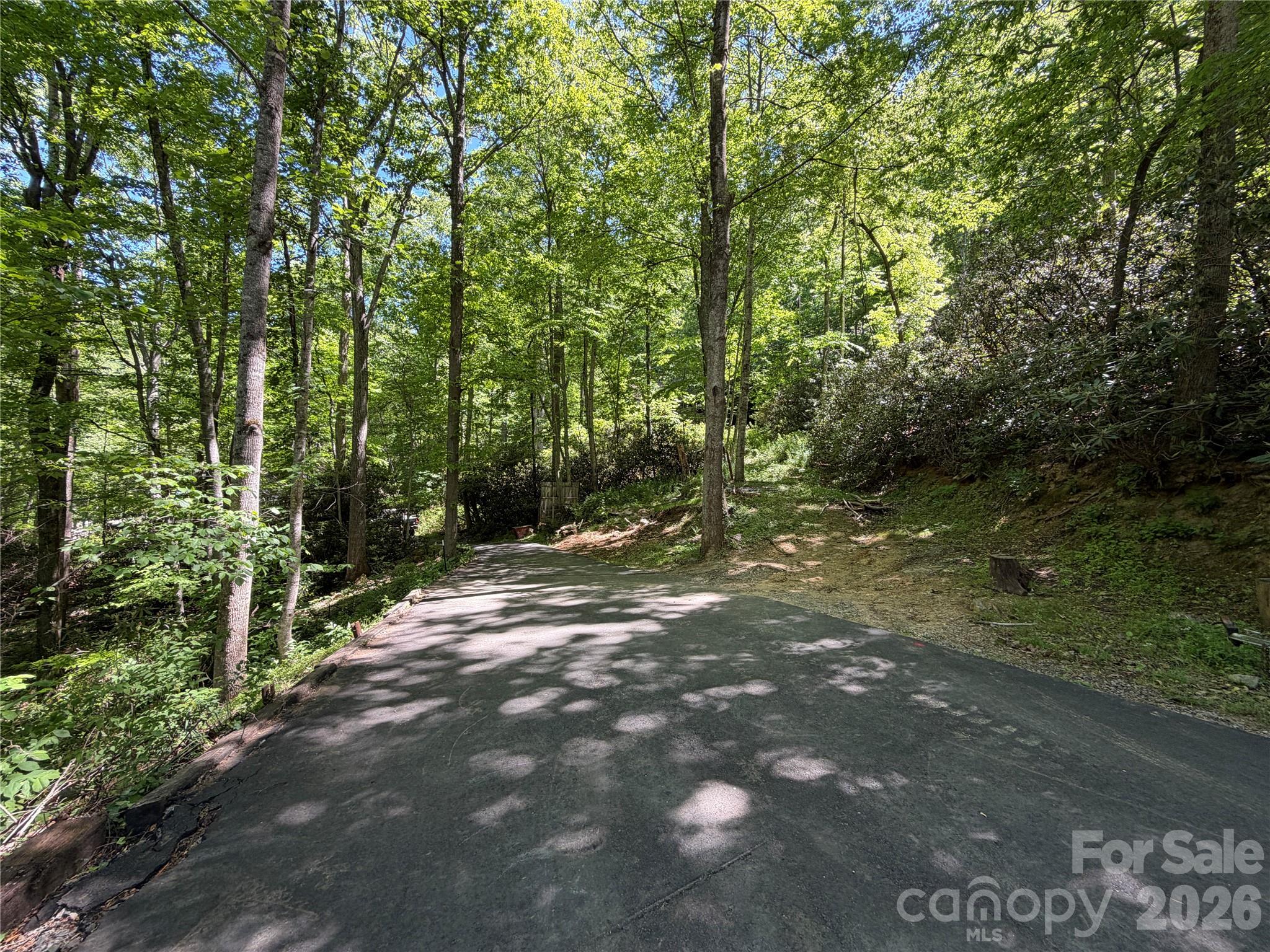 25 Buck Ridge Road Fairview NC 28730