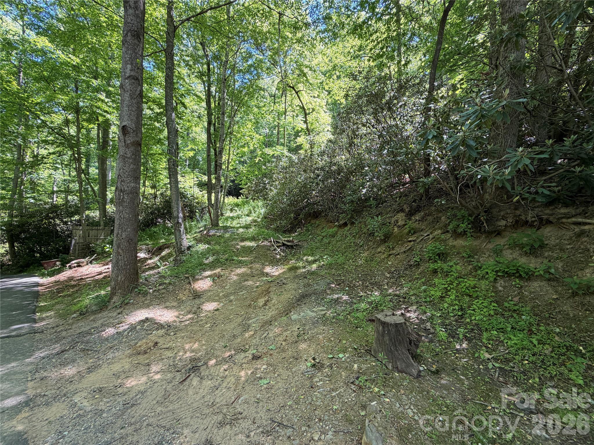 25 Buck Ridge Road Fairview NC 28730