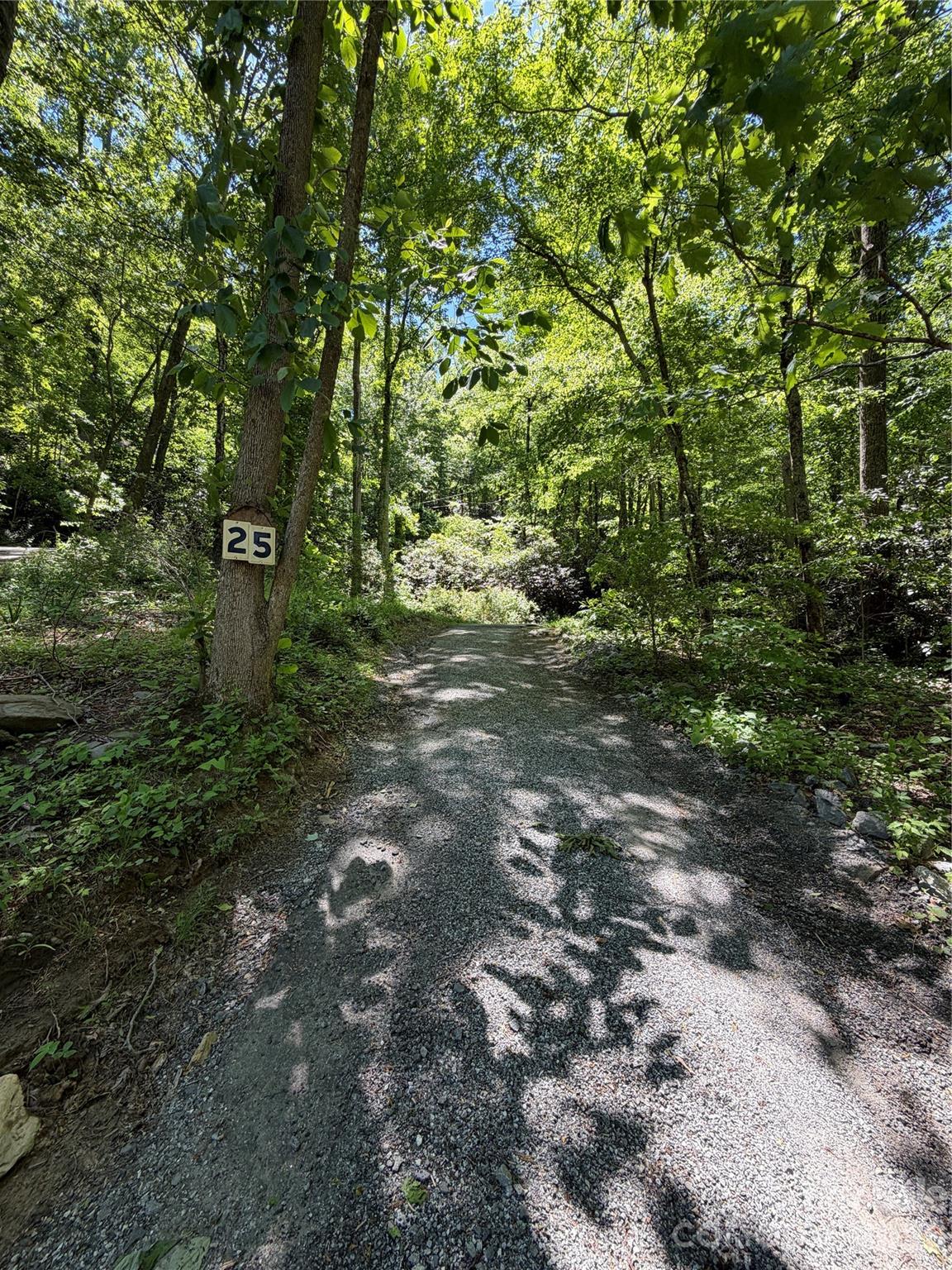 25 Buck Ridge Road Fairview NC 28730