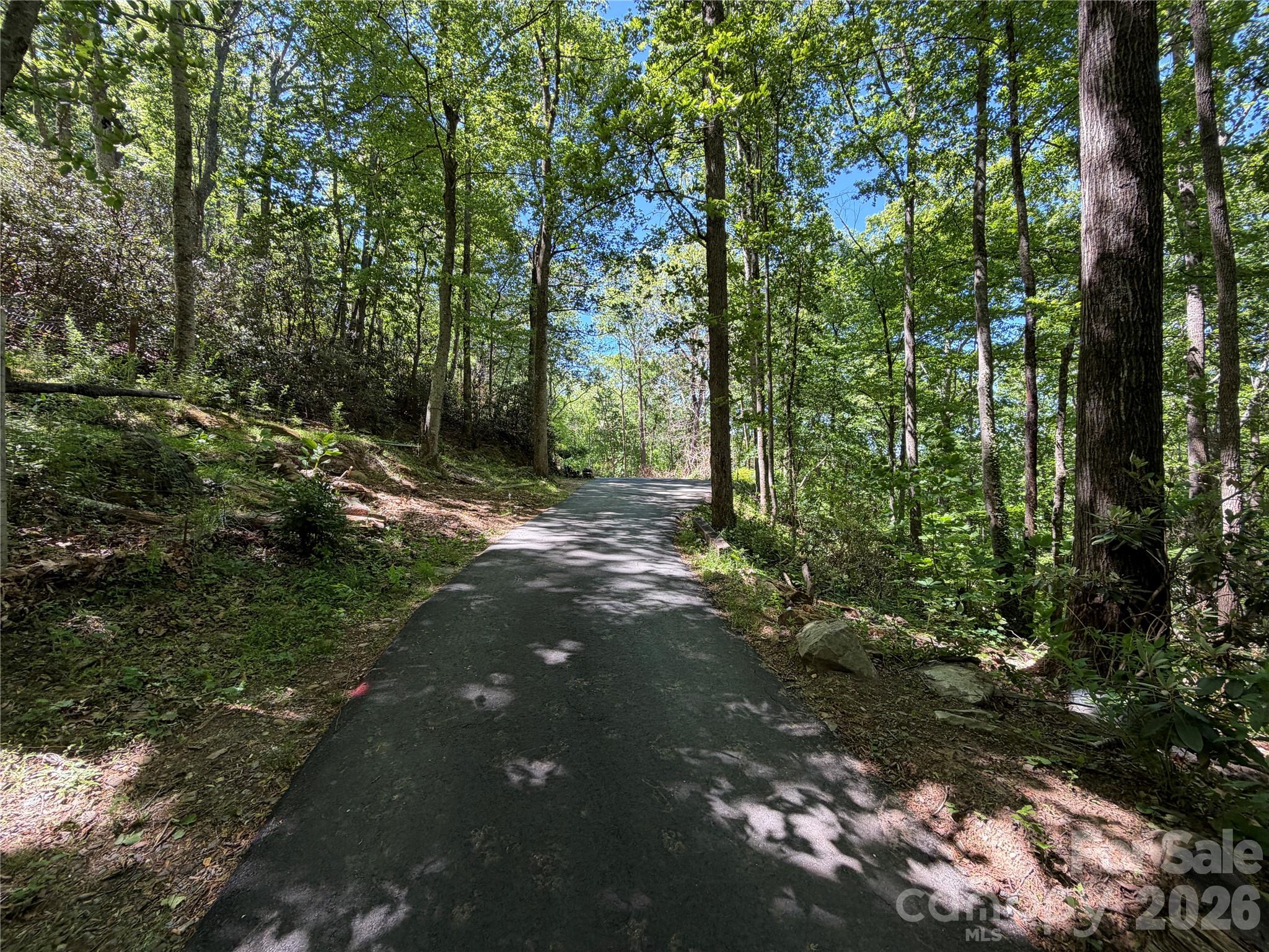 25 Buck Ridge Road Fairview NC 28730