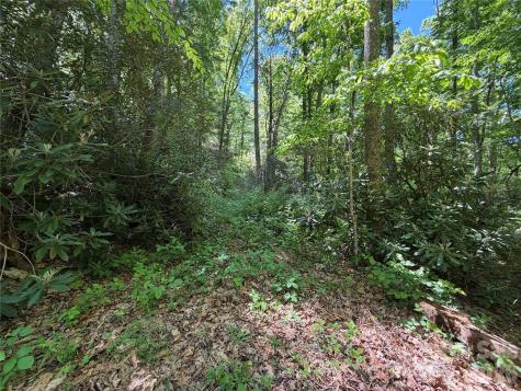 25 Buck Ridge Road Fairview NC 28730