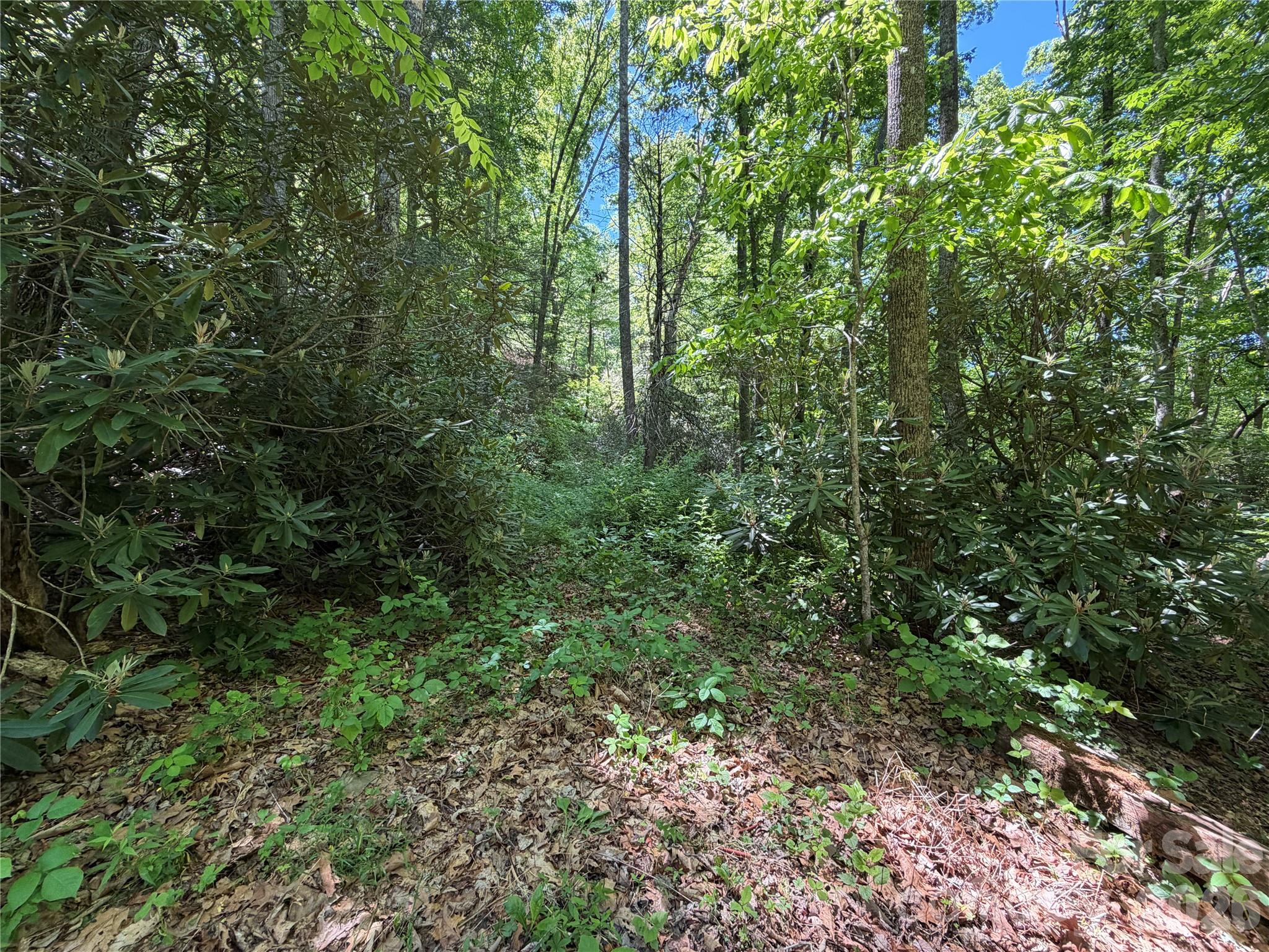 25 Buck Ridge Road Fairview NC 28730