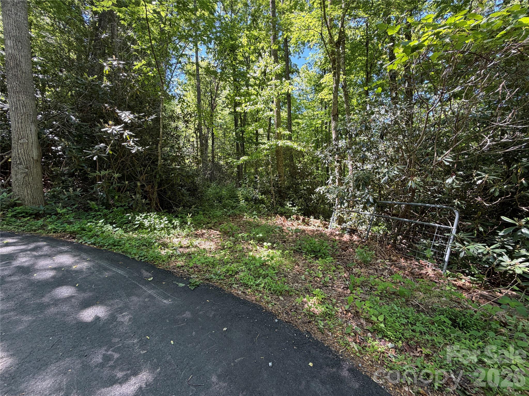 25 Buck Ridge Road Fairview NC 28730