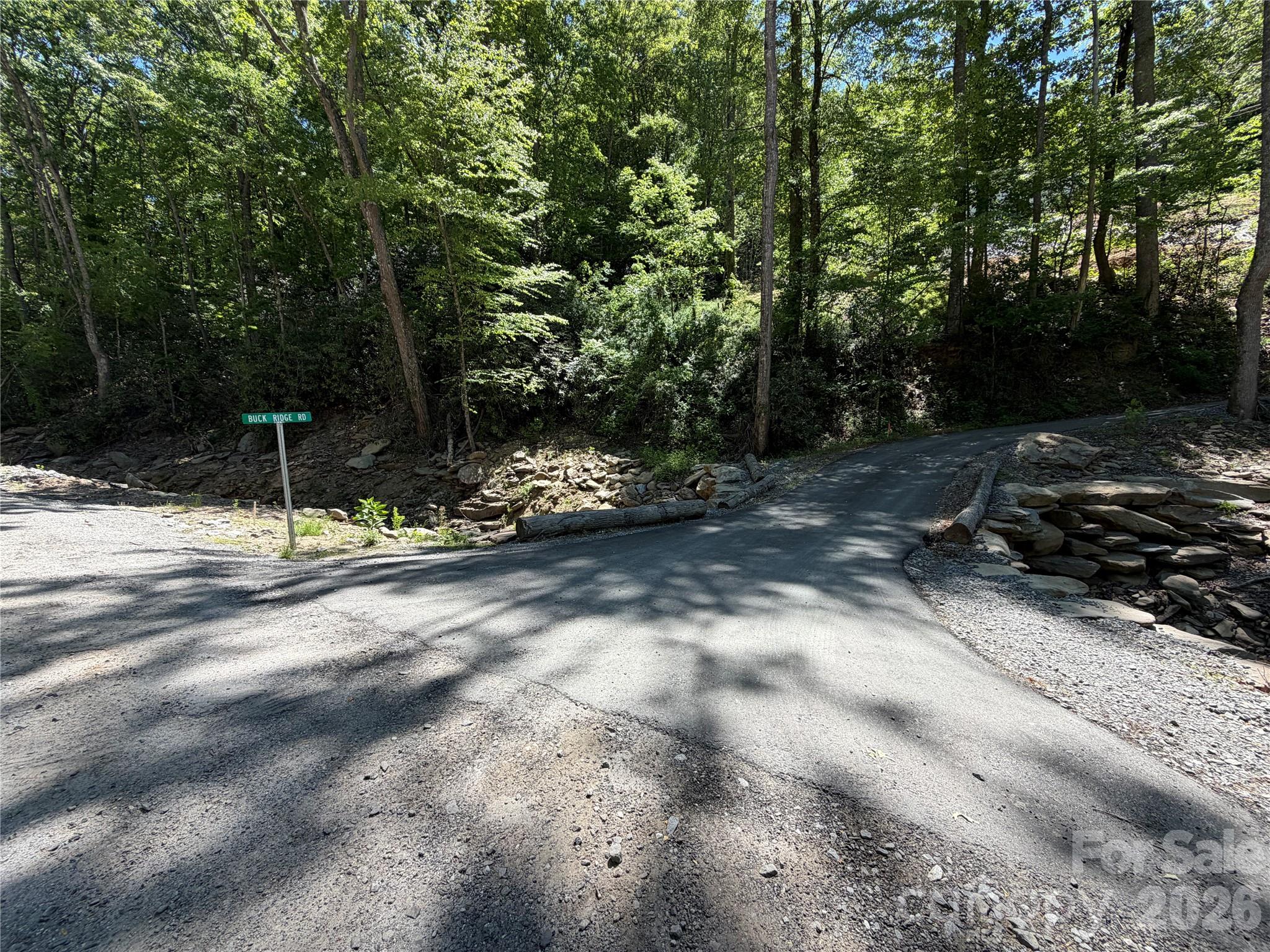 25 Buck Ridge Road Fairview NC 28730