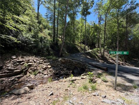 25 Buck Ridge Road Fairview NC 28730