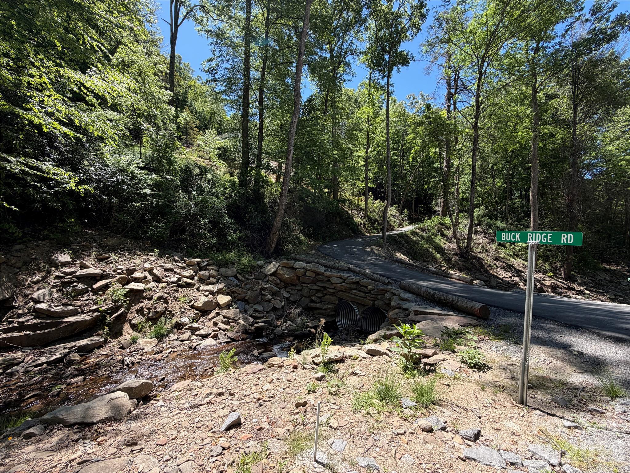 25 Buck Ridge Road Fairview NC 28730