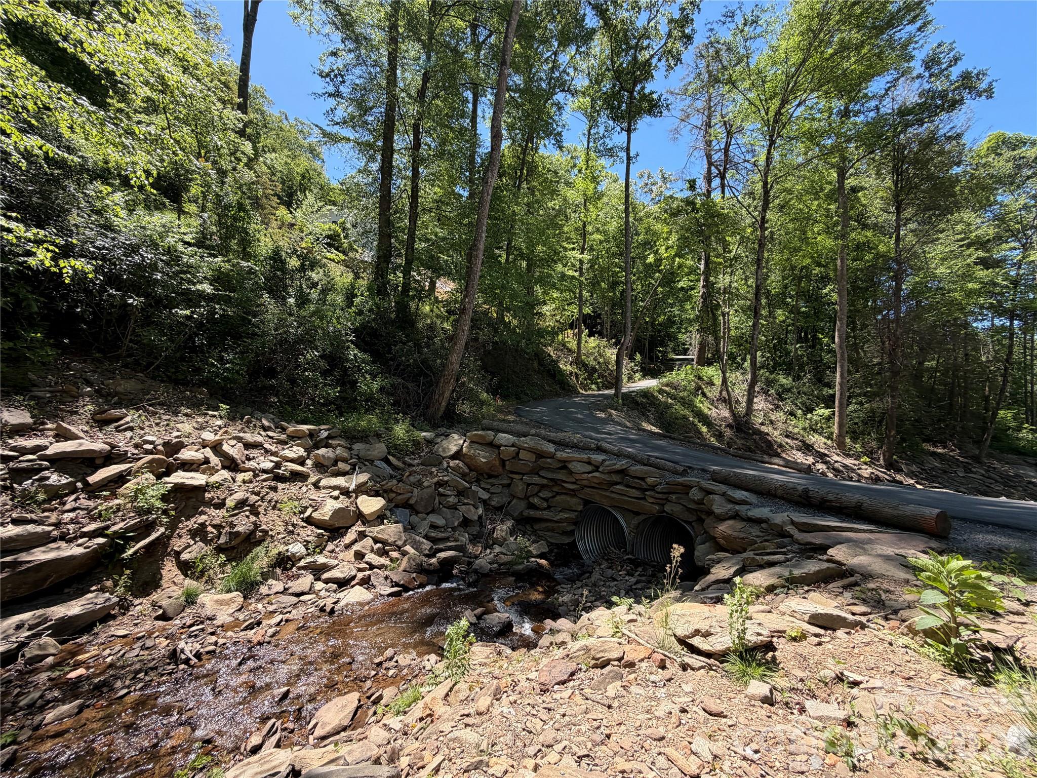 25 Buck Ridge Road Fairview NC 28730